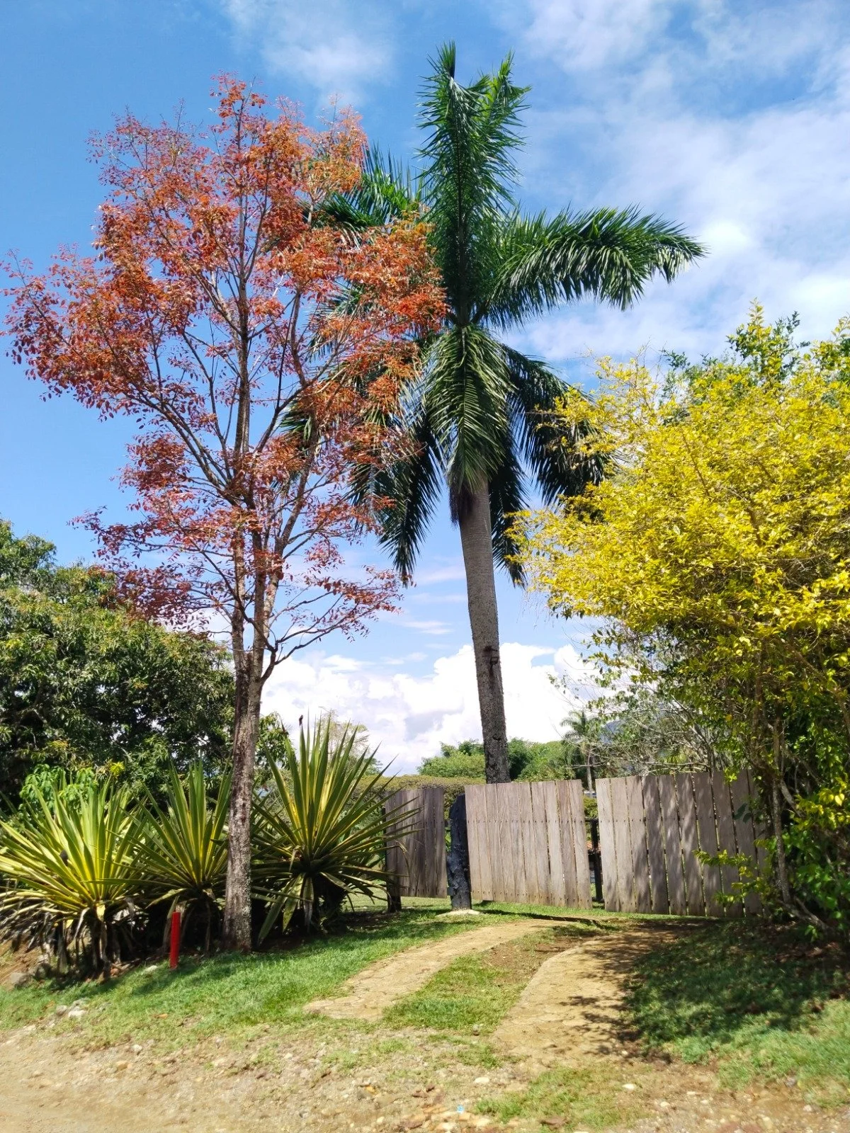 WhatsApp Image 2026-01-26 at 12.31.00 PM.jpeg