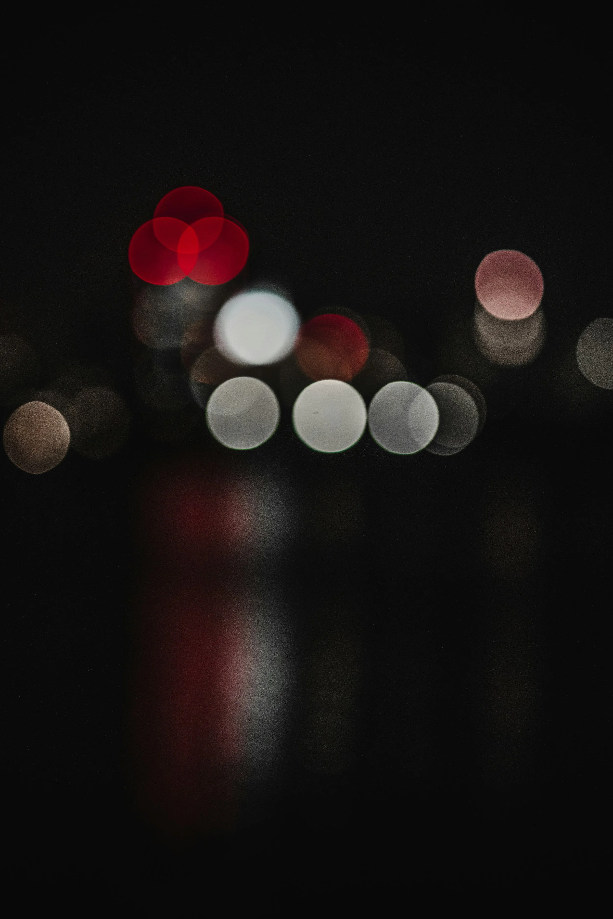 You Made It Through the Holidays