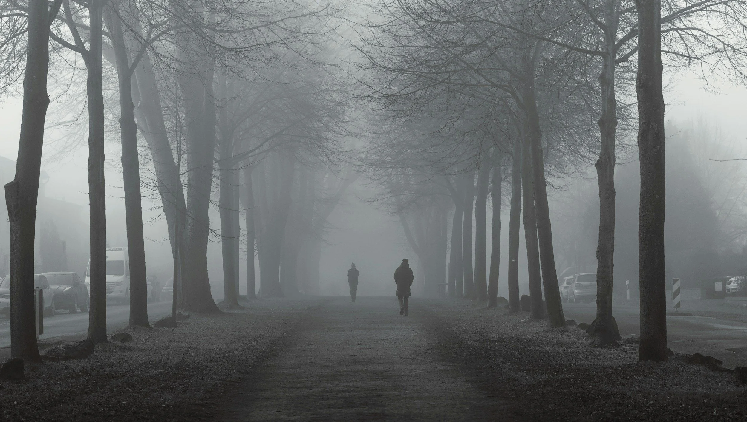 Two figures walking along a foggy tree-lined path in winter, reflecting the uncertainty and weight of searching for mental health support.