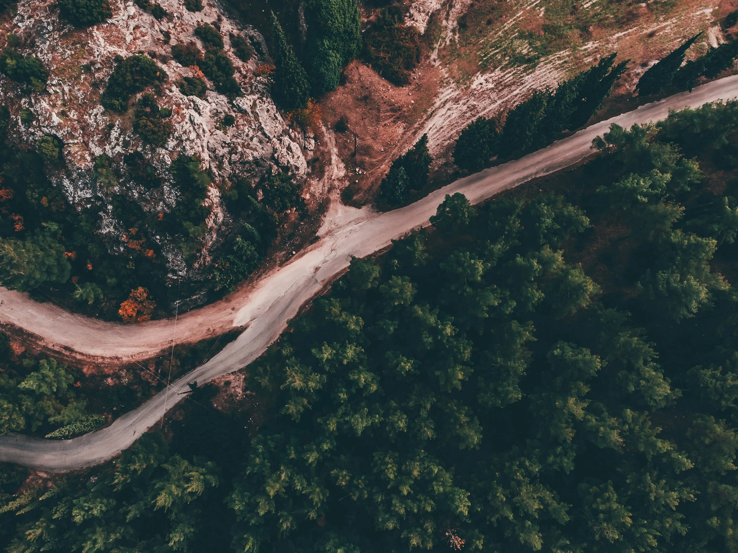 Aerial view of a winding road through dense forest, representing the complexity of finding an online therapist with so many platforms and options available.