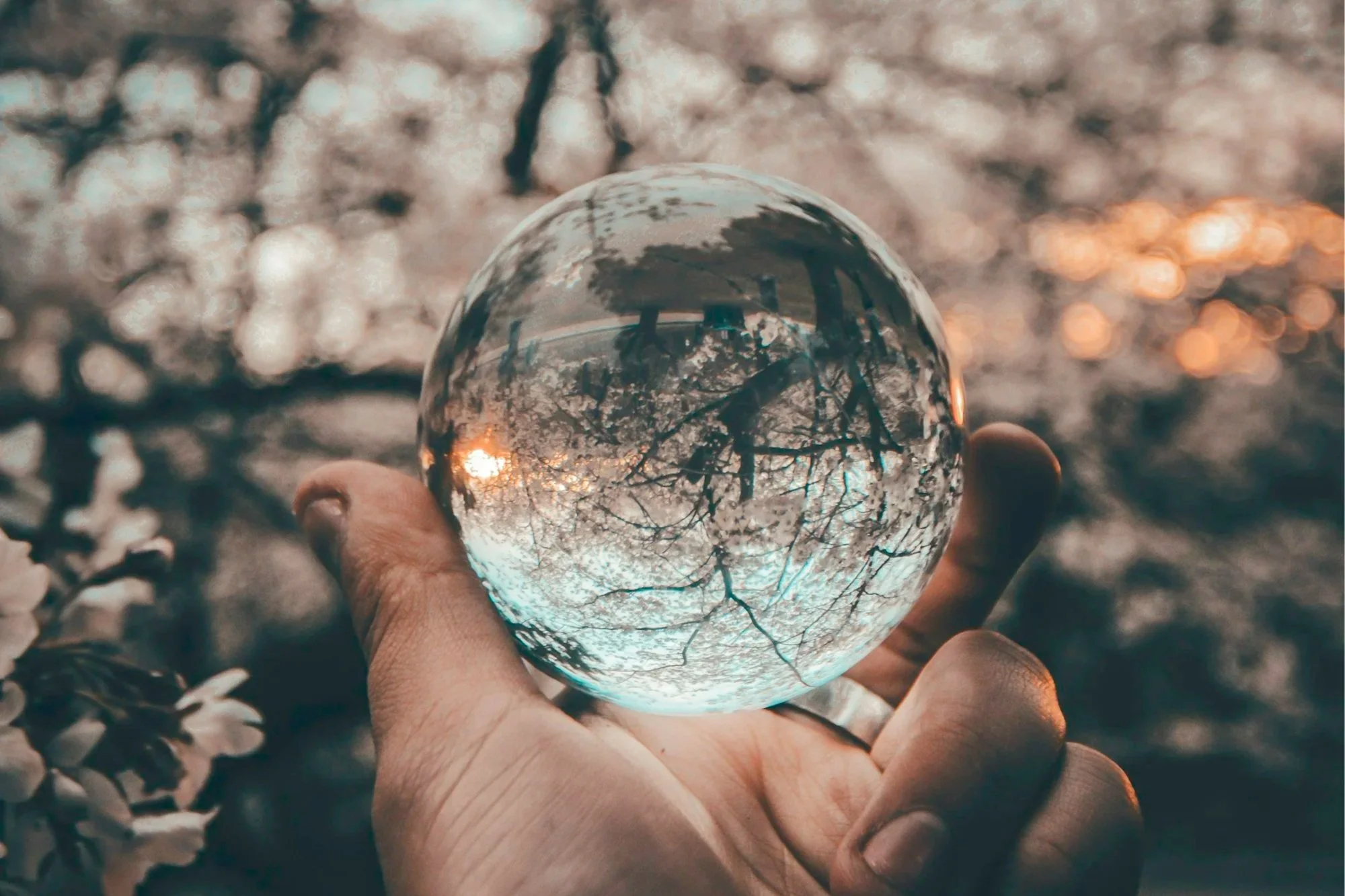 A hand holding a clear glass sphere outdoors, reflecting trees and light, symbolizing ethical tension and responsibility during collective trauma.