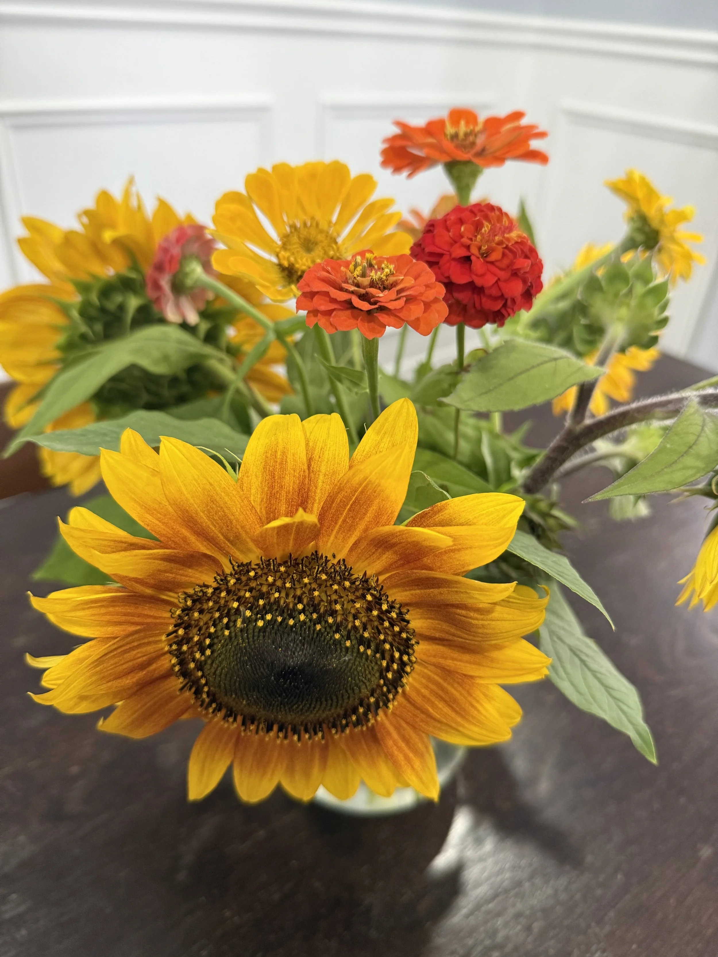 Nurse Practitioner Group Coaching and Education for UTI