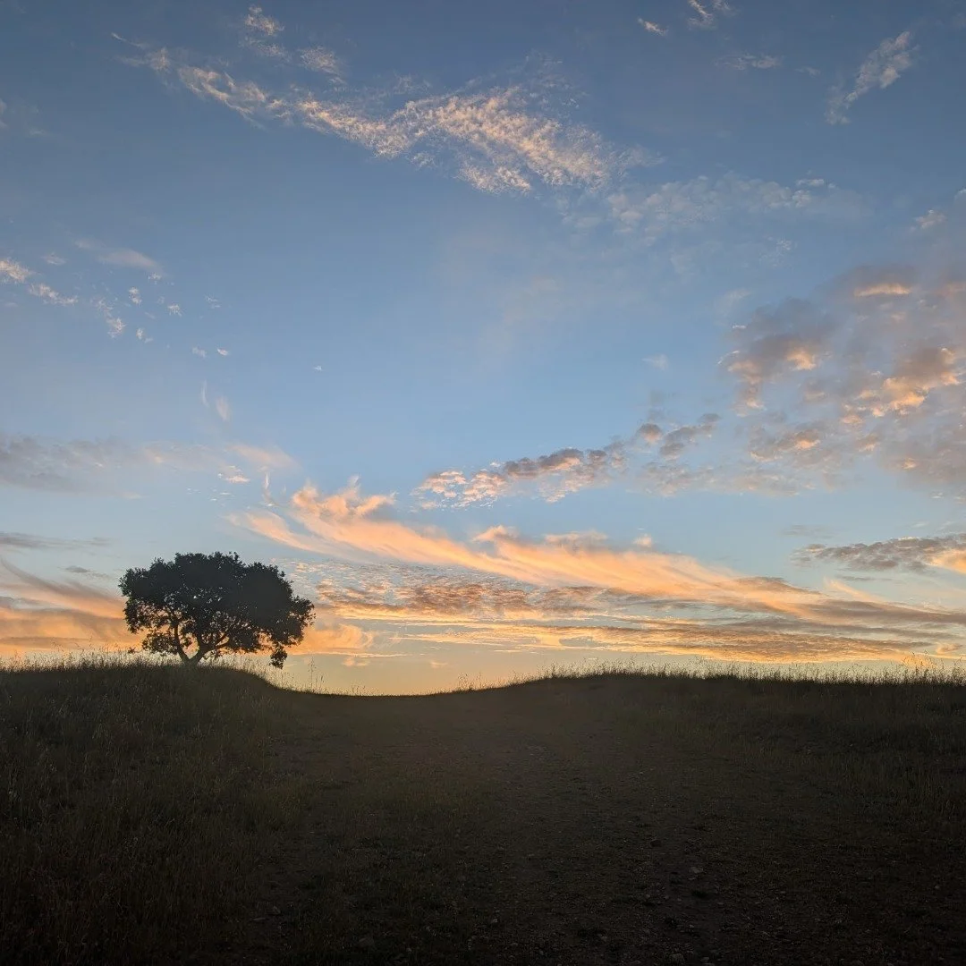 Now on the first day of the week Mary Magdaline came to the tomb early, while it was still dark...
And boy is it dark out there, friends. 
And what hope did she have? 
Expecting to find a tomb filled with the corpse of the only one able to help her e