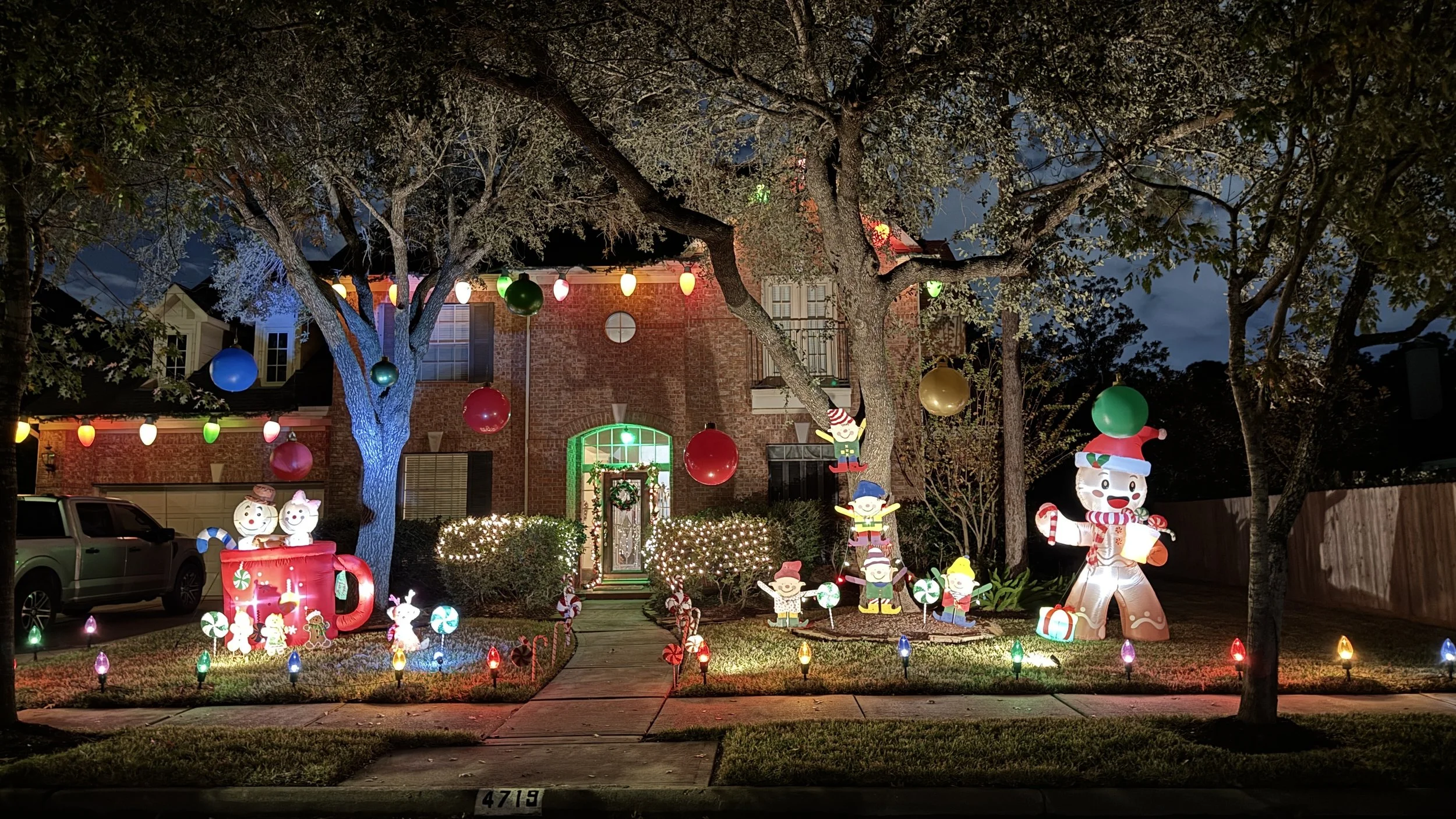 4719 Pine Heather: Large Christmas Lights