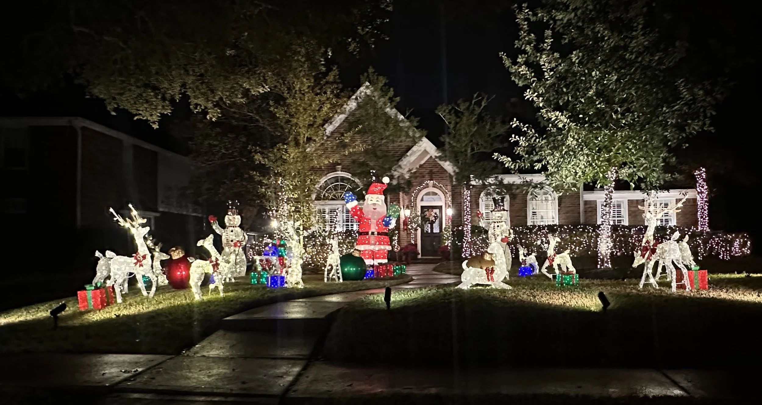 3527 E Pine Brook Way - Reindeer Playpen