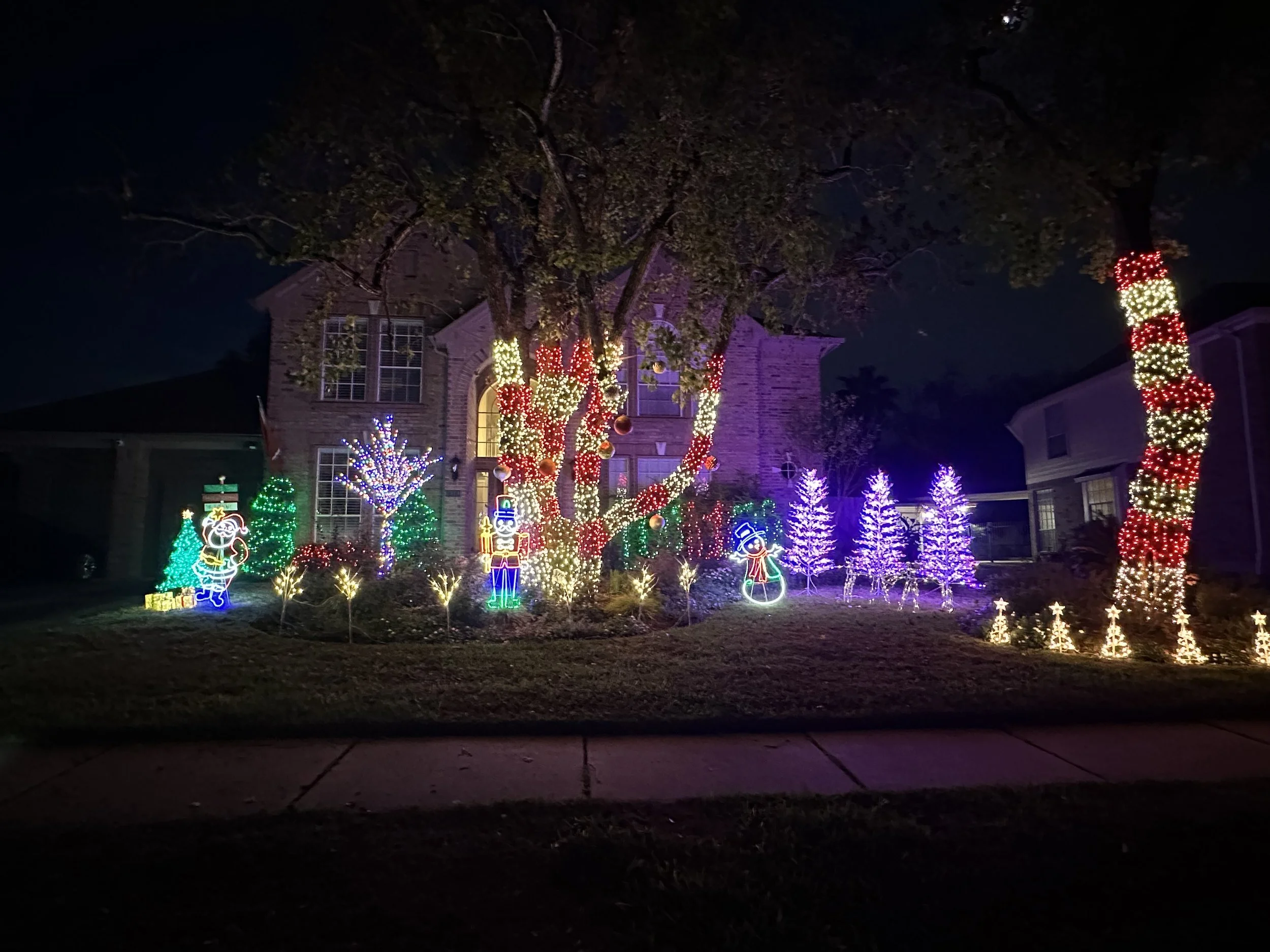 3814 Canary Grass Ln - Candy Cane Trees