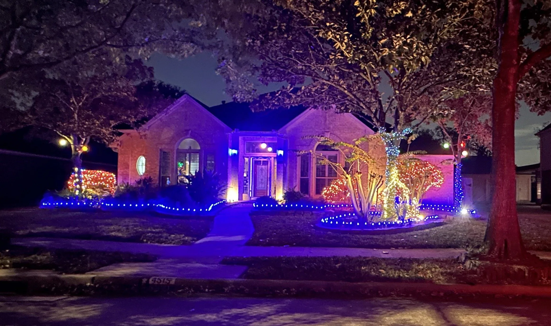 4515 Cedar Ridge Trail - Neon Nativity