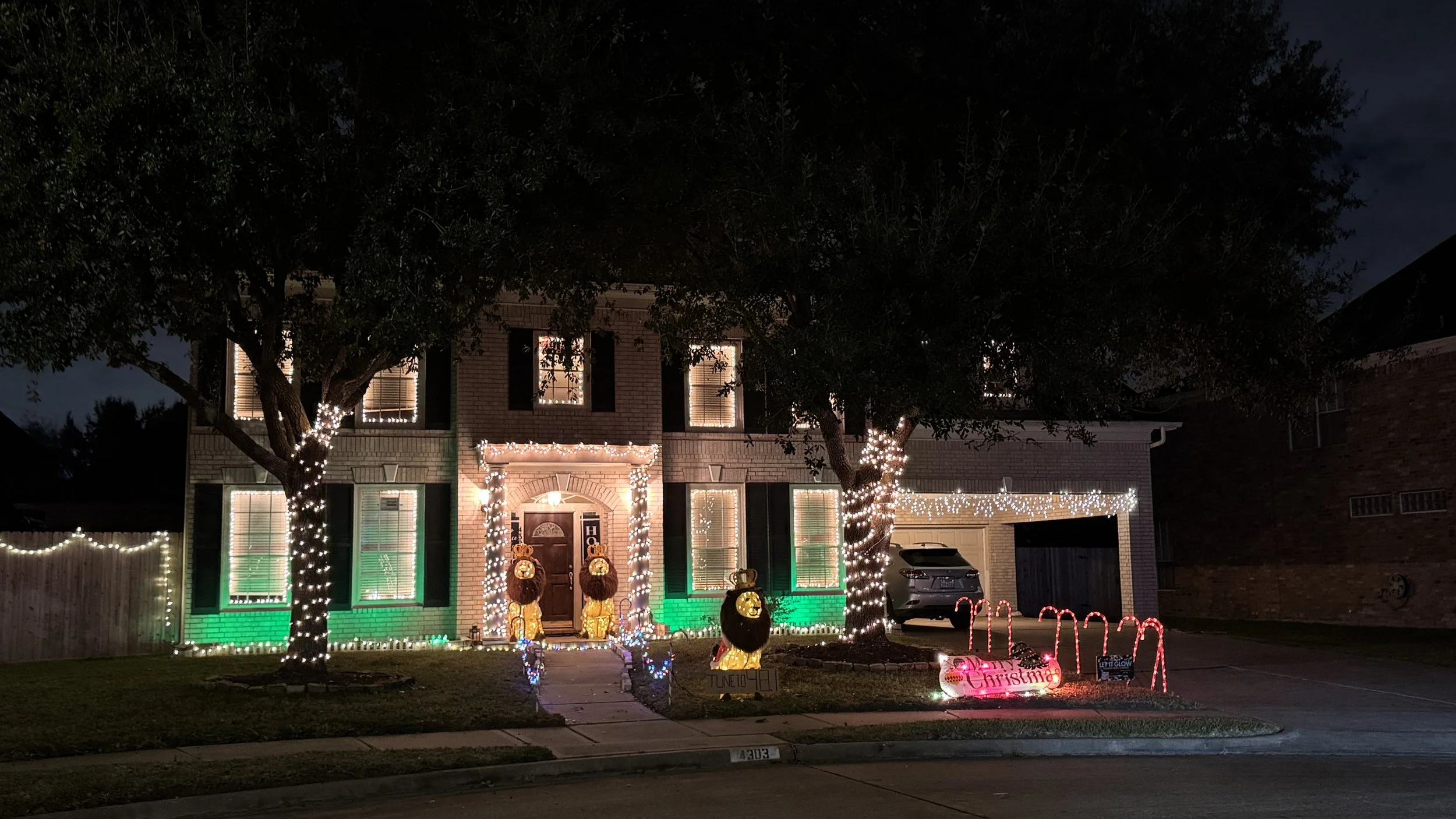 4303 Towering Oak Ct: The Lion King House