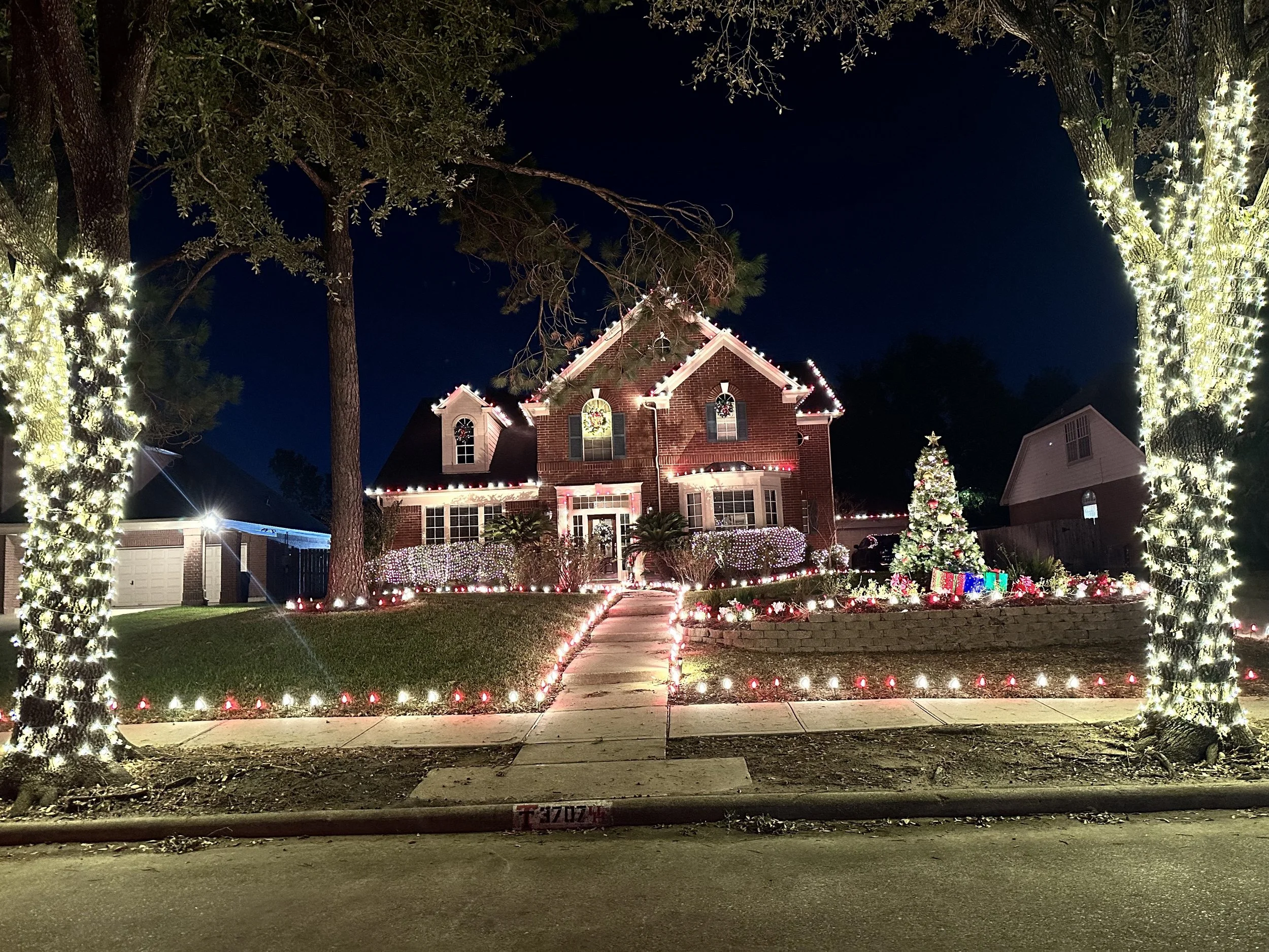 3707 W Pine Brook Way: Present Under Tree