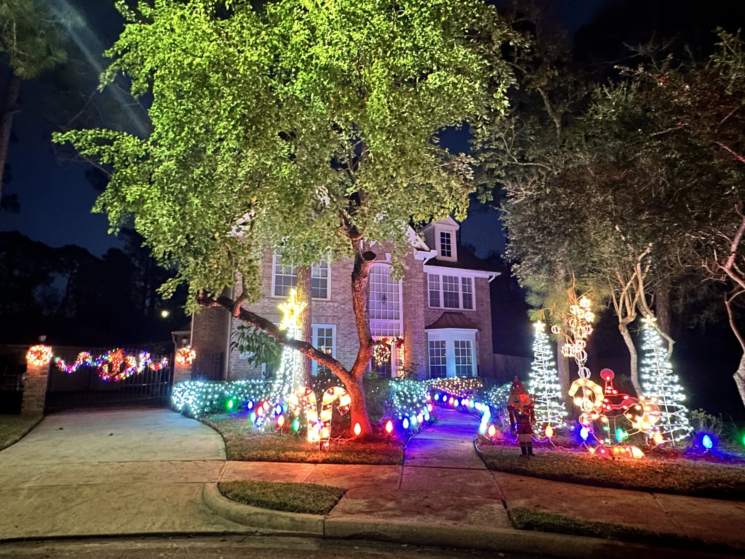 4519 Honeywood Ct: Glowing Christmas Trees