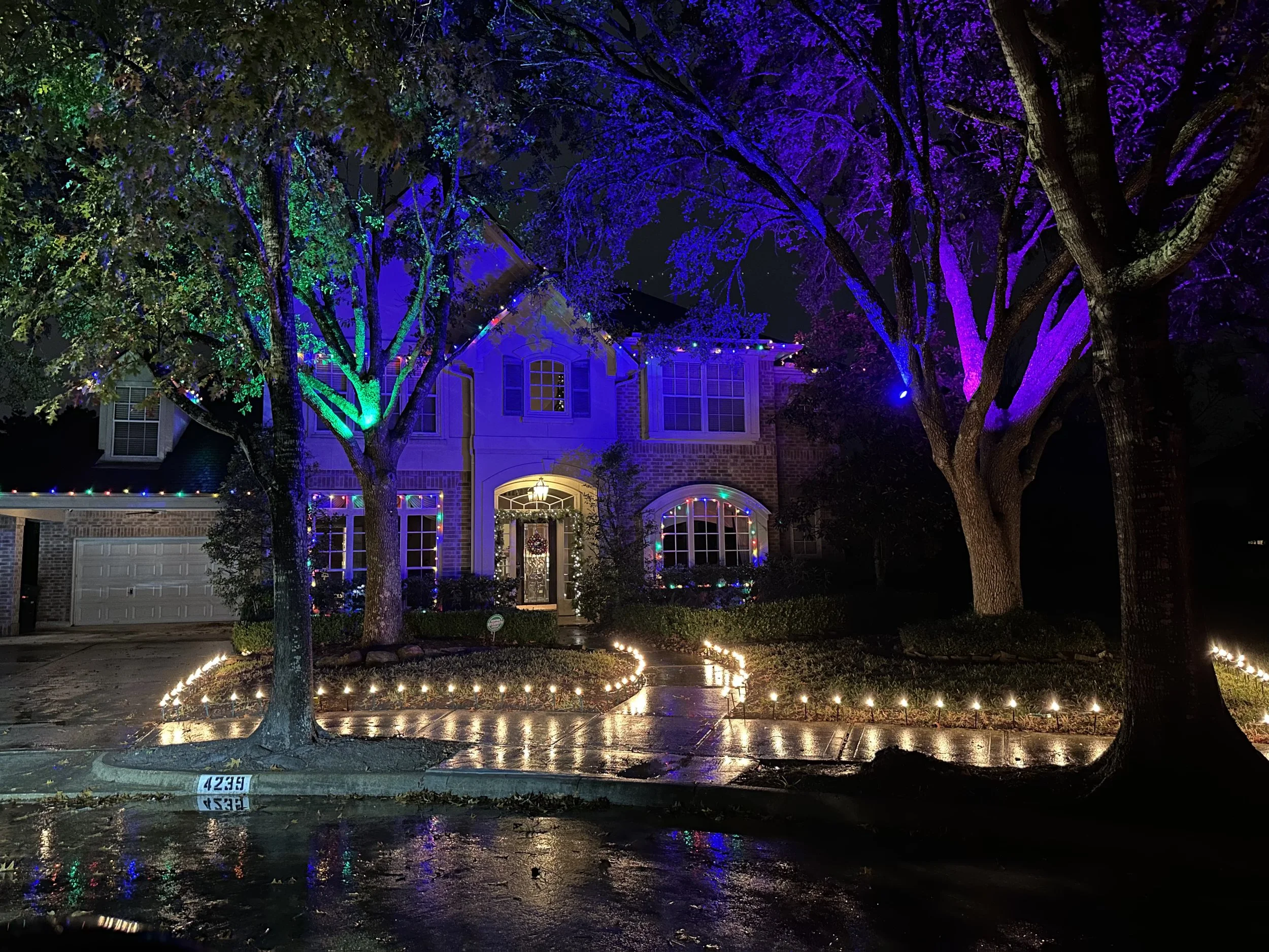 4239 Olive Oak Ct - Tree Top Lights