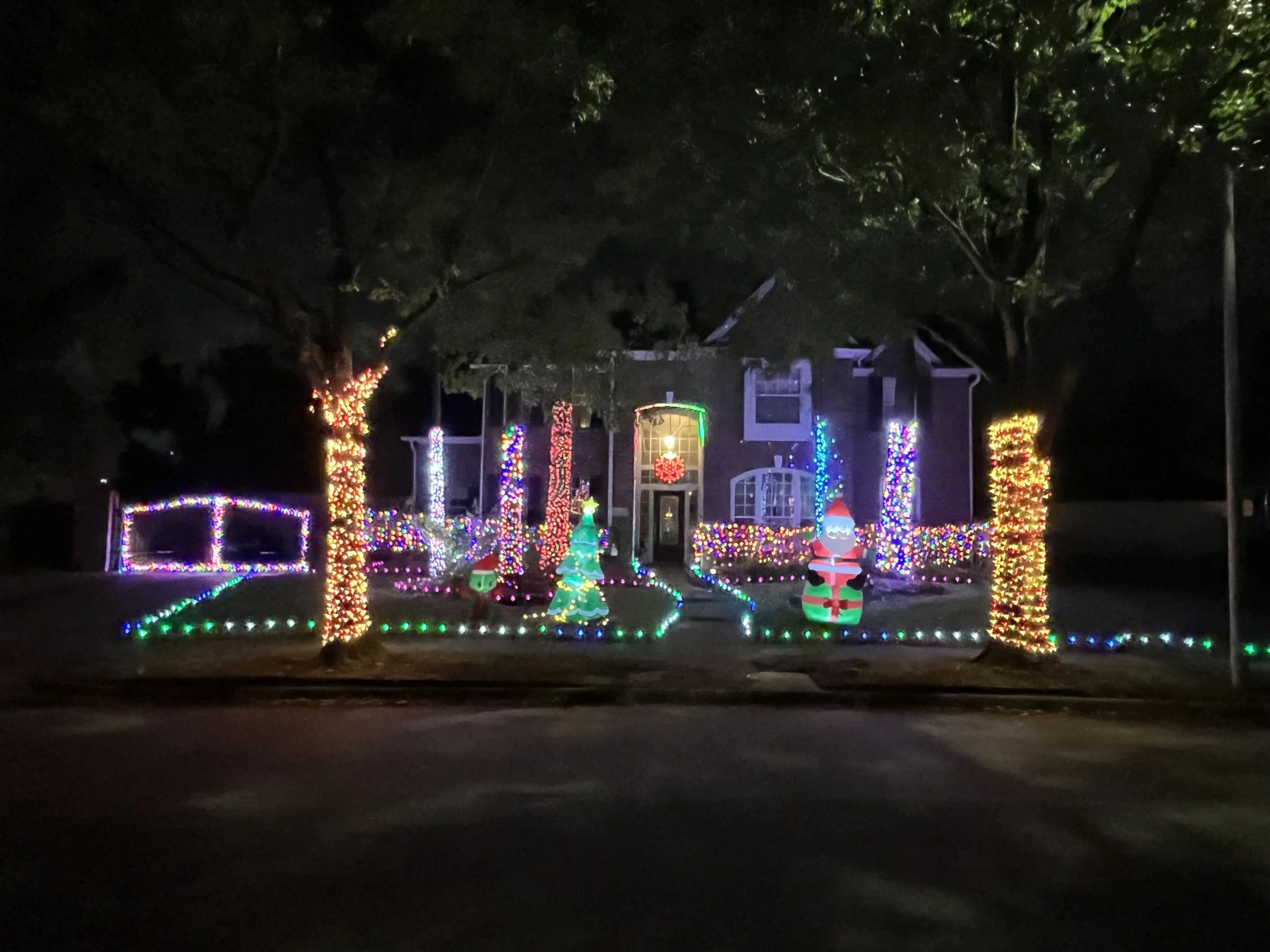 16022 El Dorado Oaks Dr:Rainbow Snowflake House