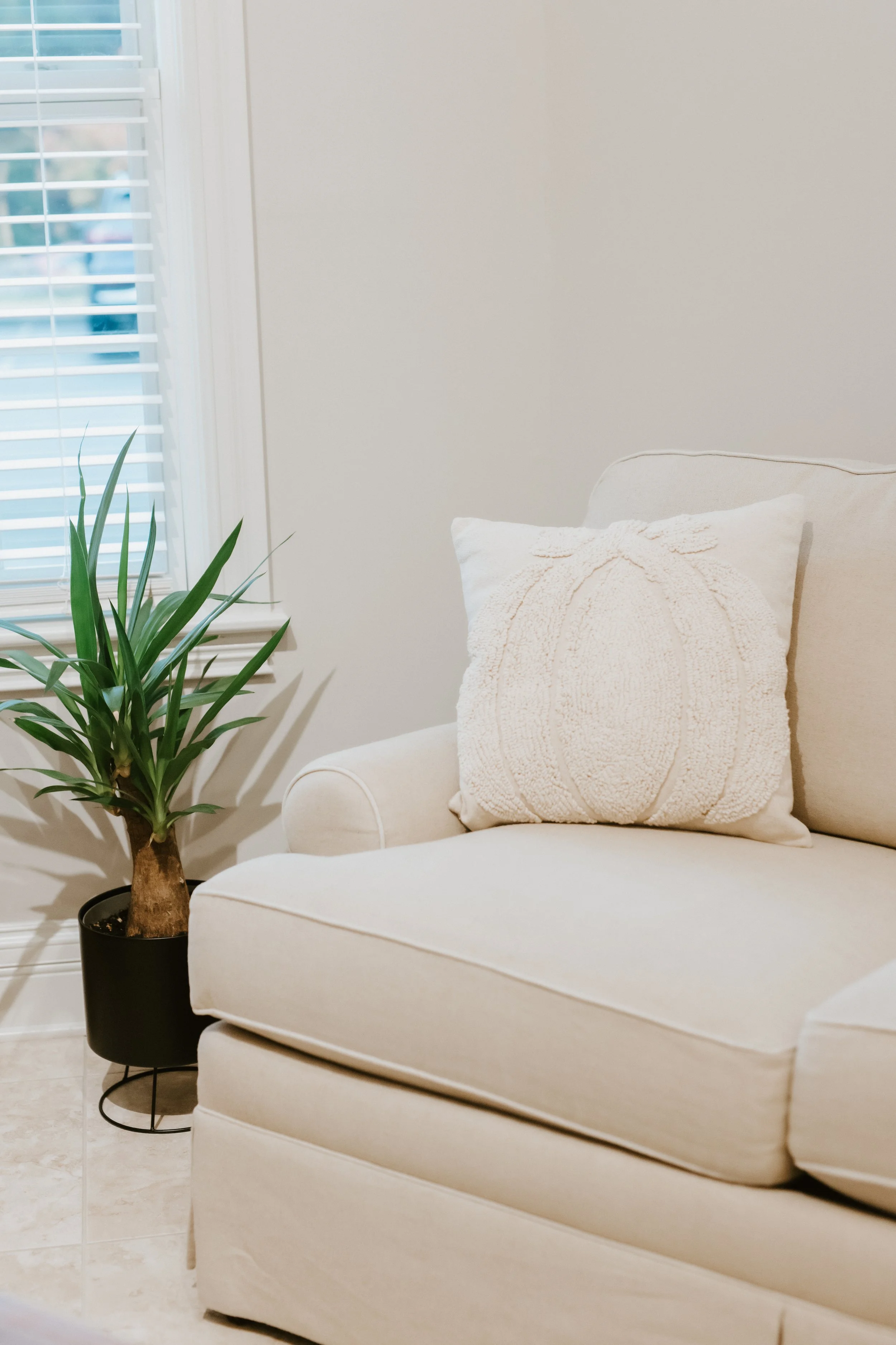 A beige sofa with a textured cream throw pillow, next to a potted green plant, near a window with white blinds.