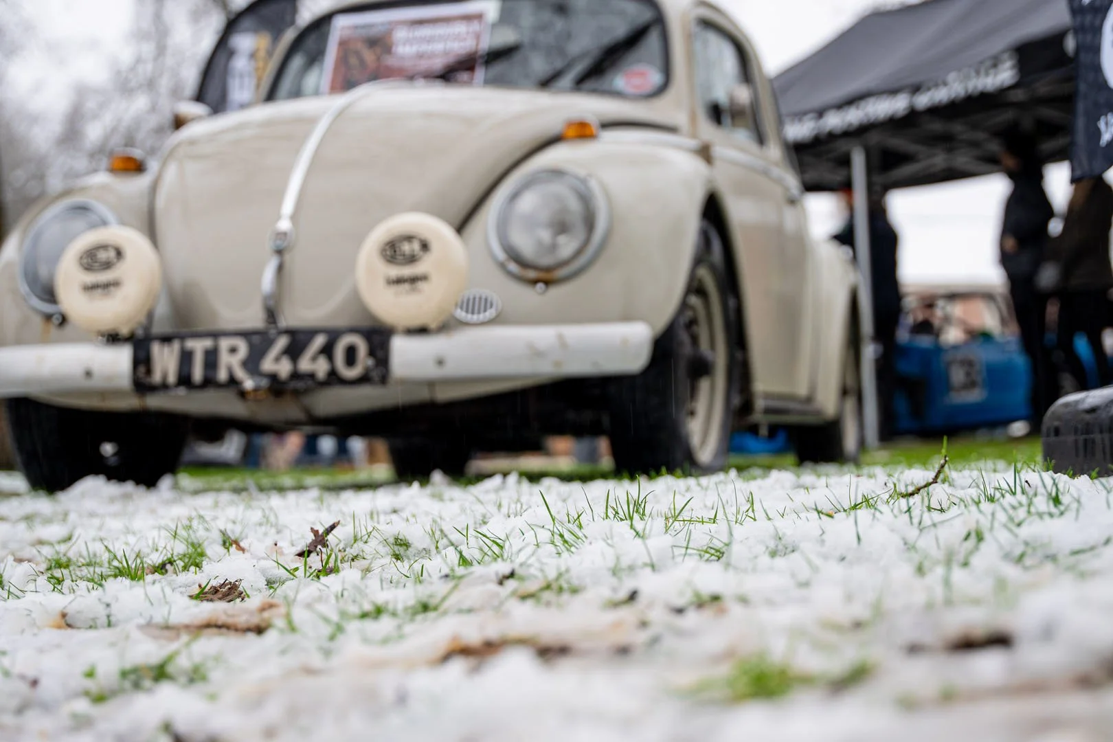 REVS Scramble_LimeTide-06.jpg