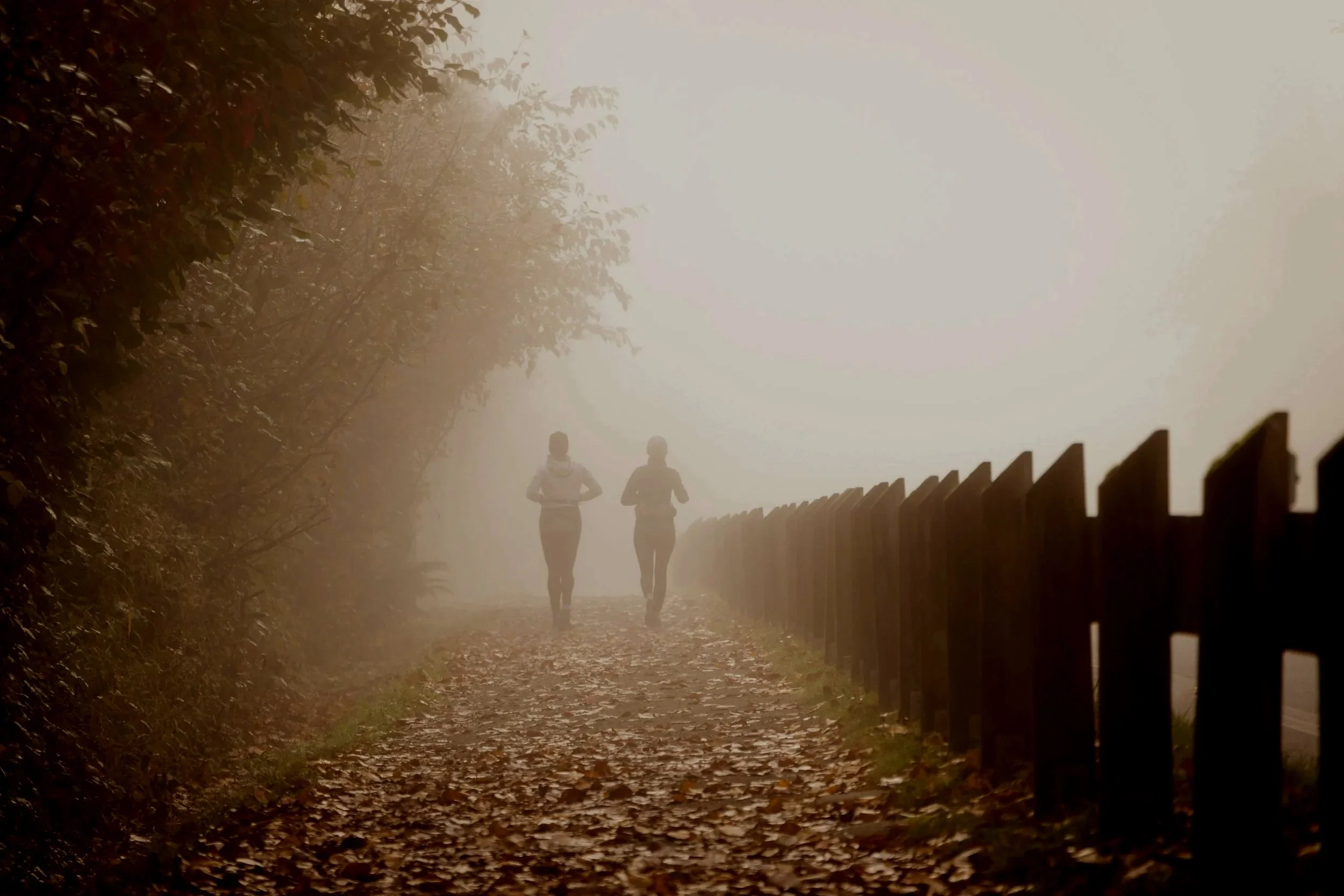 Counseling for women for life transitions, parenting, pregnancy, menopause, and cancer support in South Denver Metro and online throughout Colorado.