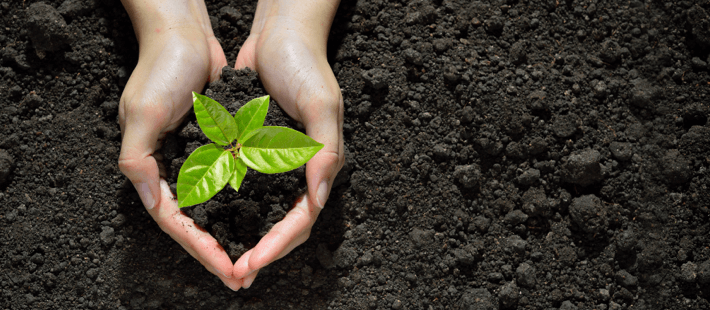 Les 4 atouts du parcours Chargé de Gestion des RH par Joëlle