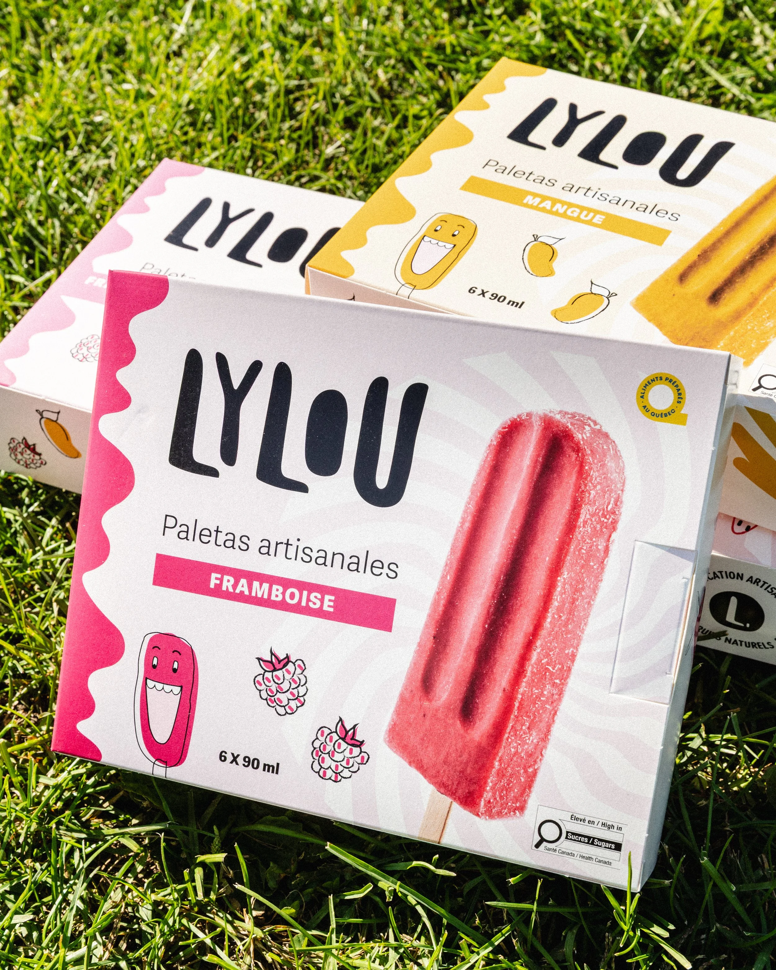 Boîte de 6 Paletas Framboise