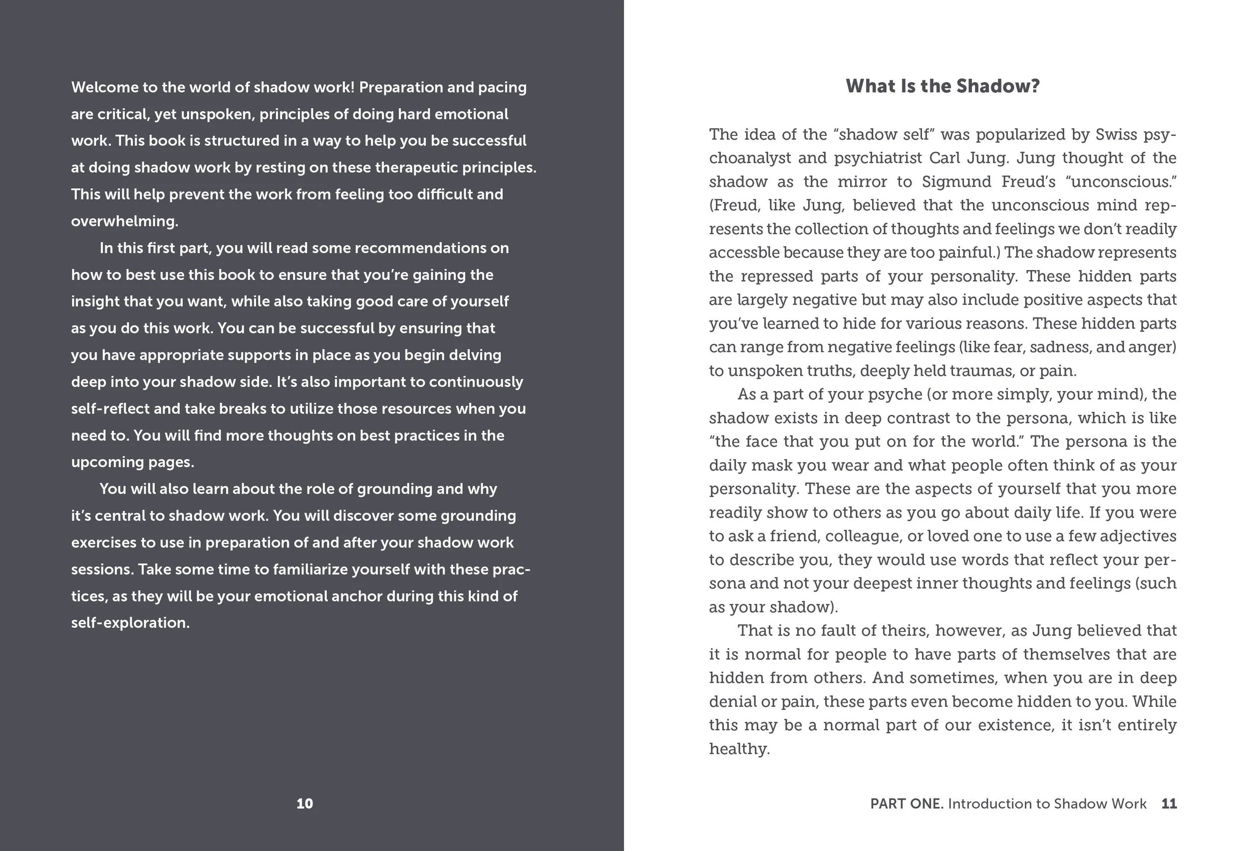 Shawdow Workbook 1.jpg