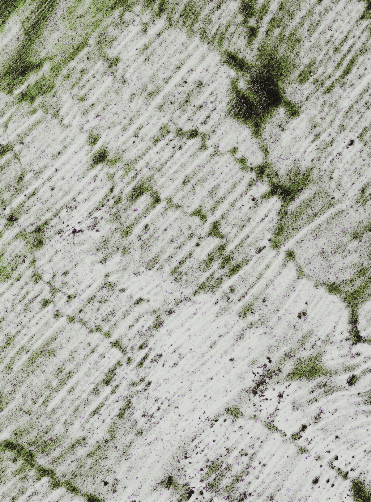 A top-down view of a weathered wooden surface with white paint and patches of green moss or algae, featuring diagonal streaks and cracks.