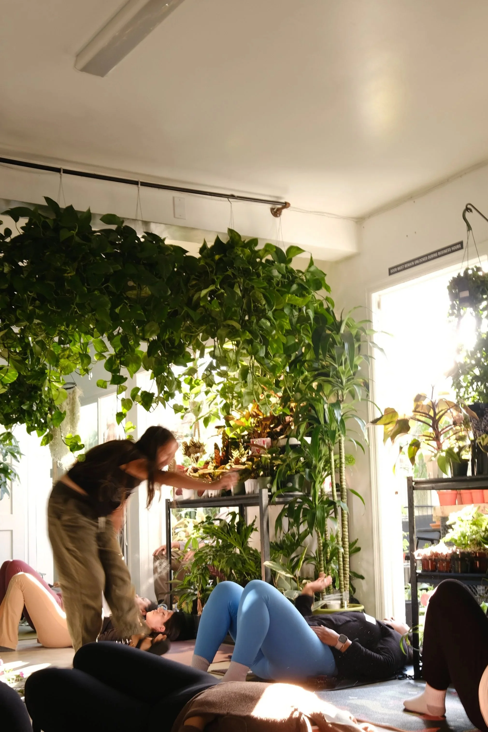 People practicing yoga or a stretch class in a room filled with plants, sunlight, and natural light, with two individuals lying on mats and others assisting or instructing.