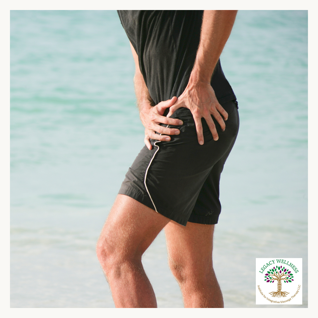 Live_A Global Approach to Balancing the Hips:  Functional Assessment and Management  of the Lumbo-Pelvic-Hip-Complex (13 CE)