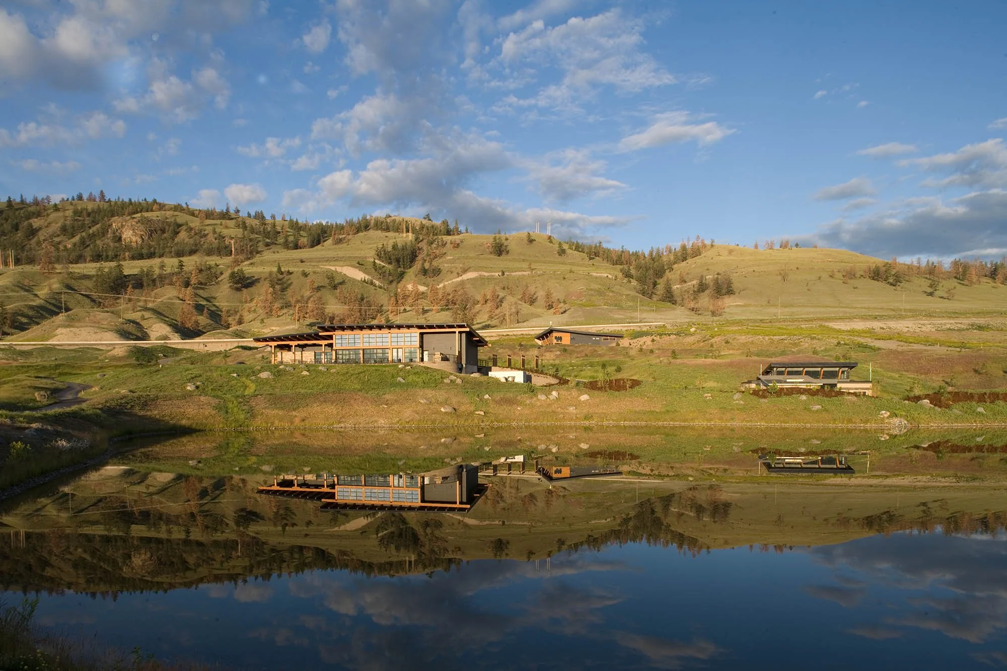 Tobiano 2008-061 copy.jpg