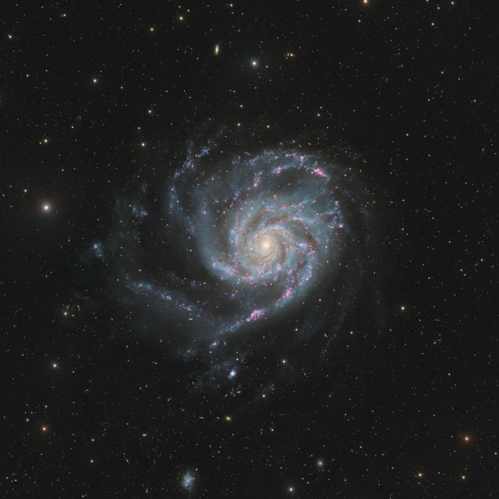M101_2026.jpg