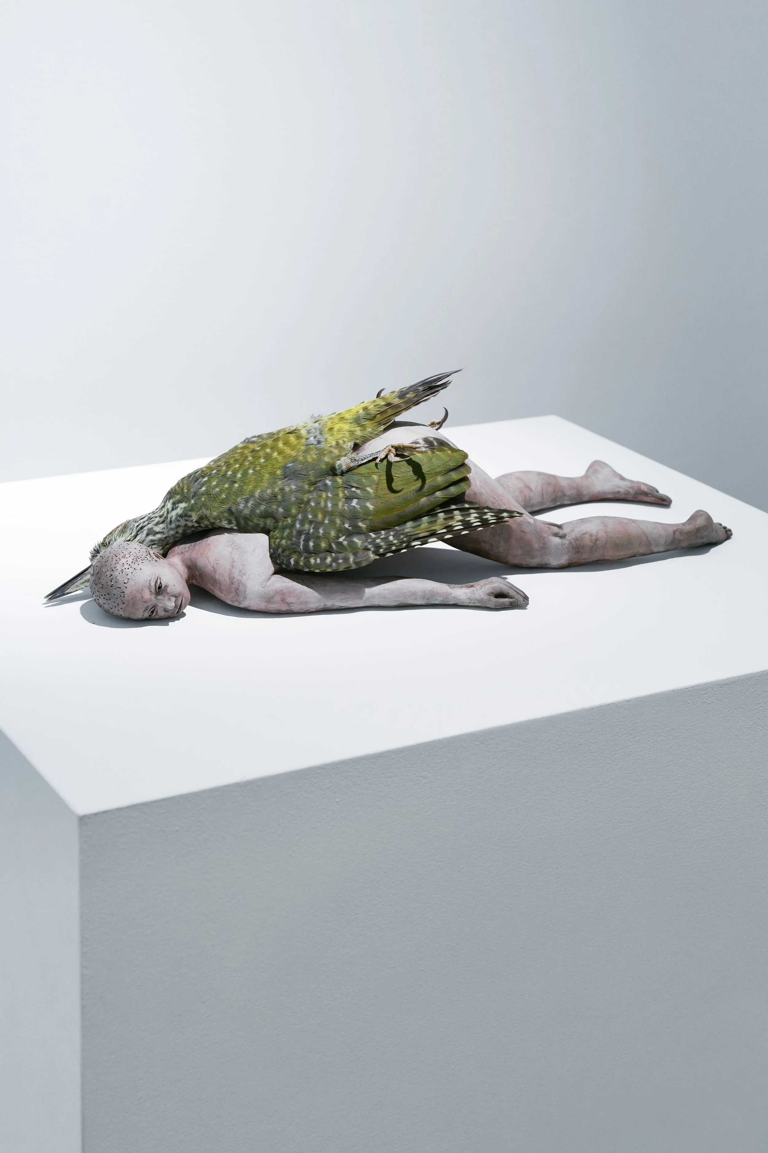 Touch Nature (30.04-10.07.2026) / Austrian Cultural Forum London
