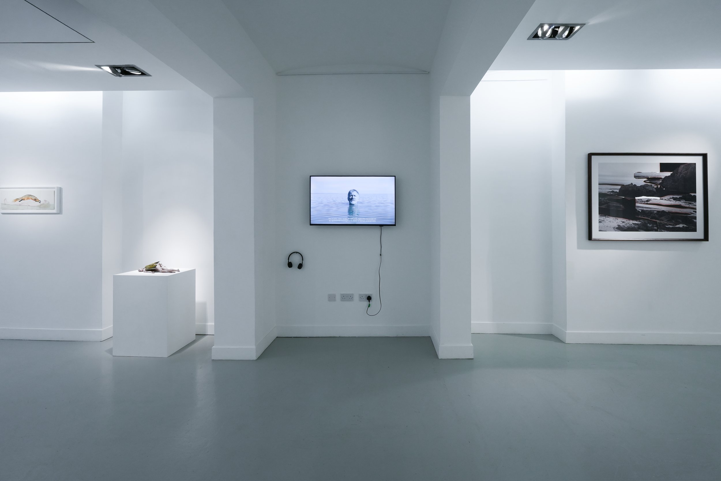 Touch Nature (30.04-10.07.2026) / Austrian Cultural Forum London