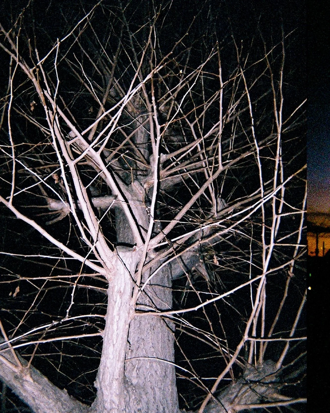 Static Serenity on Film