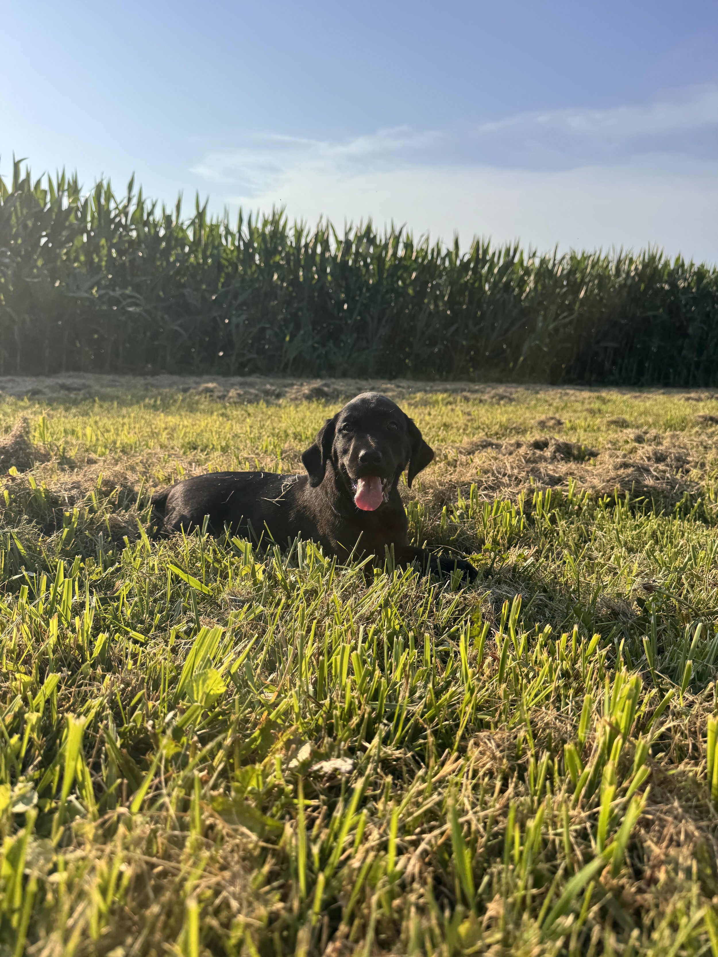IMG_3906.jpeg