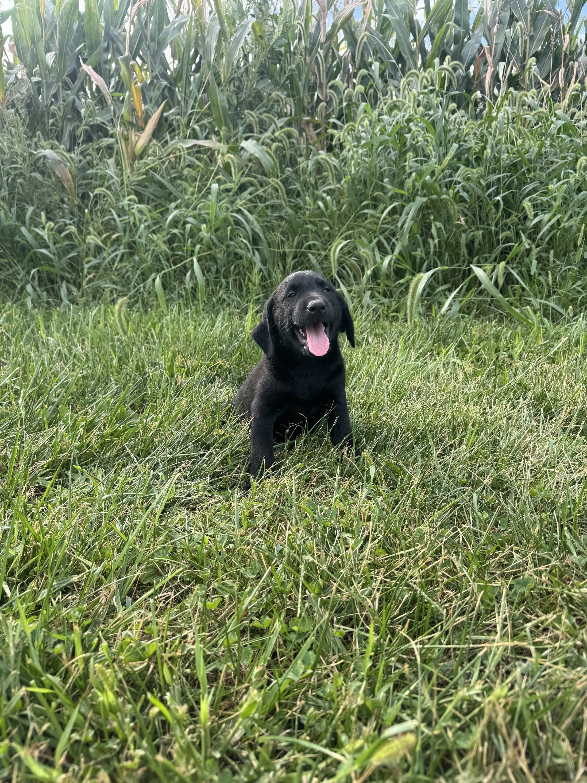 IMG_9493.jpeg