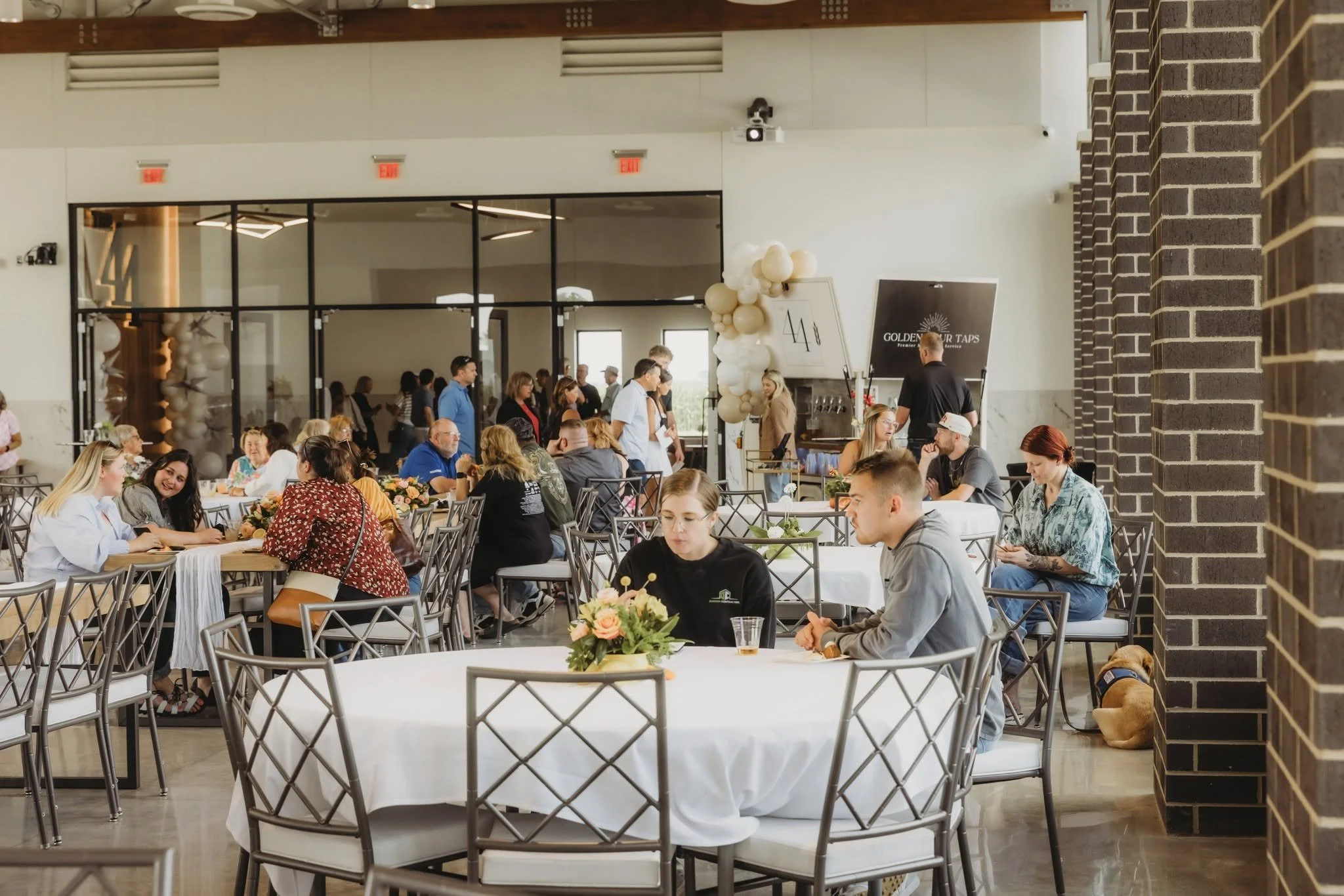 People dining at tables inside a restaurant with modern decor and balloons, some people are chatting while others are using their phones, and a dog is resting under a table.