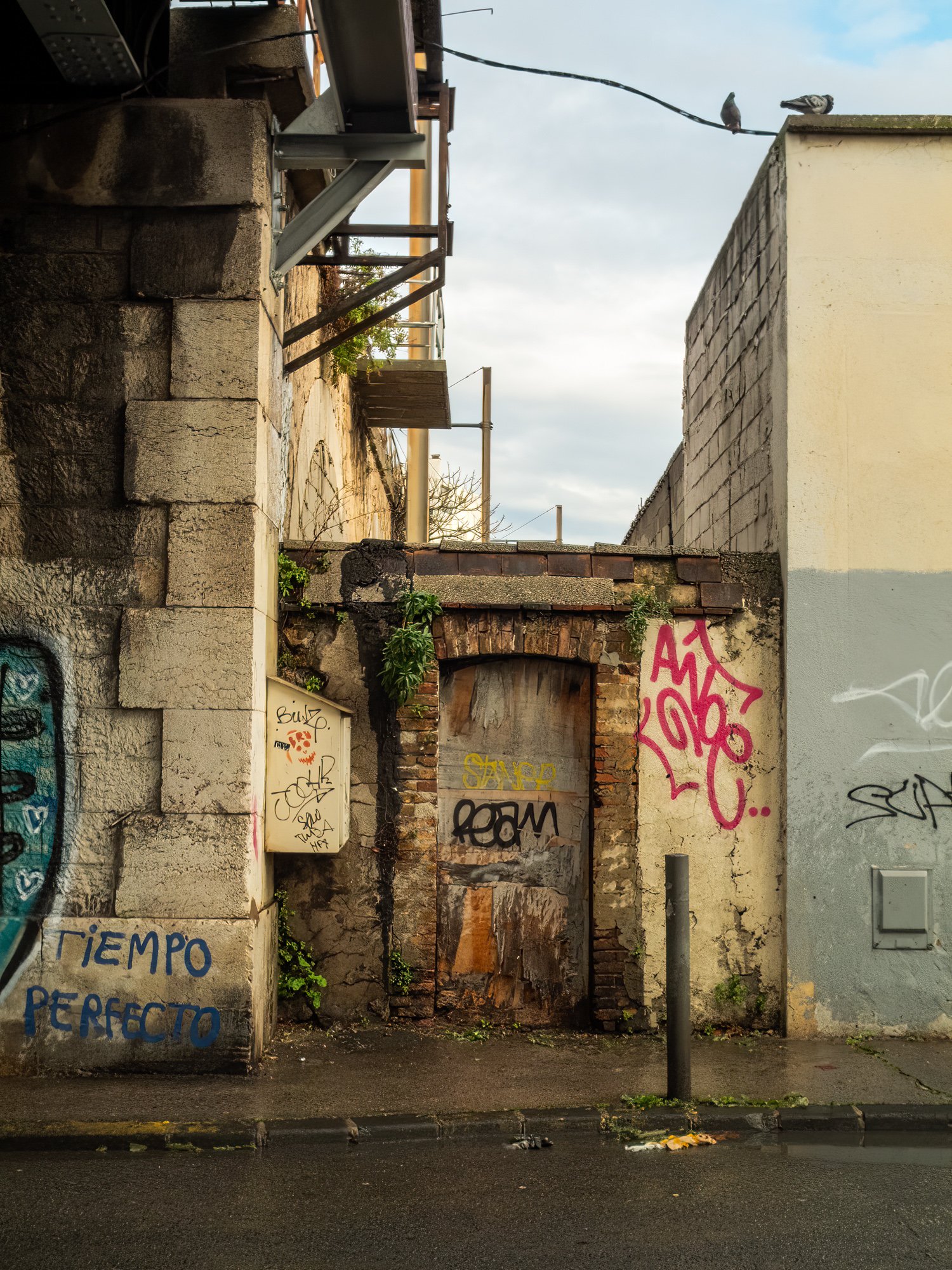 DSCF1483-Edit.jpg