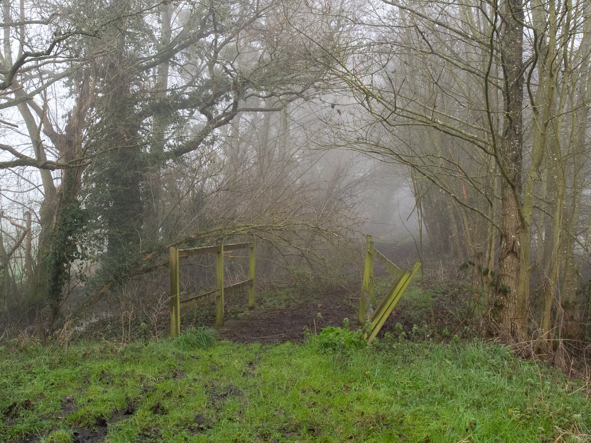 DSCF1830.jpg
