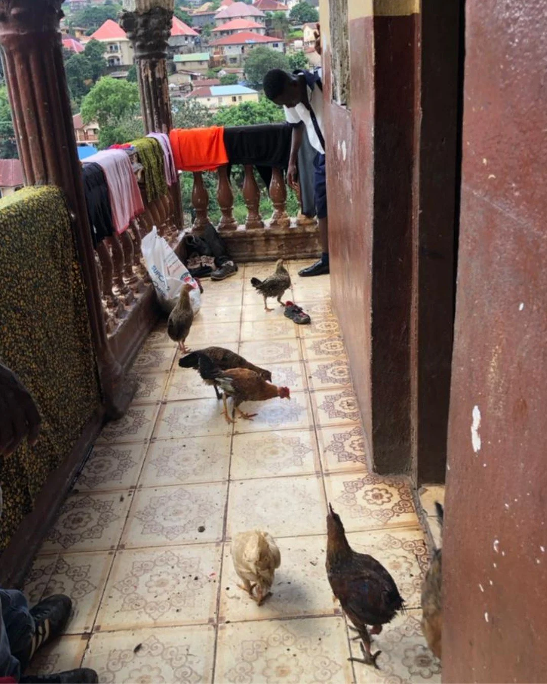 From one lemonade stand in the U.S. to a flock of happy chickens in Sierra Leone 🐓✨ Thanks to Eloise&rsquo;s generosity, the children at Bonnie Memorial Children&rsquo;s Home are enjoying fresh eggs and the joy of caring for these feathered friends.