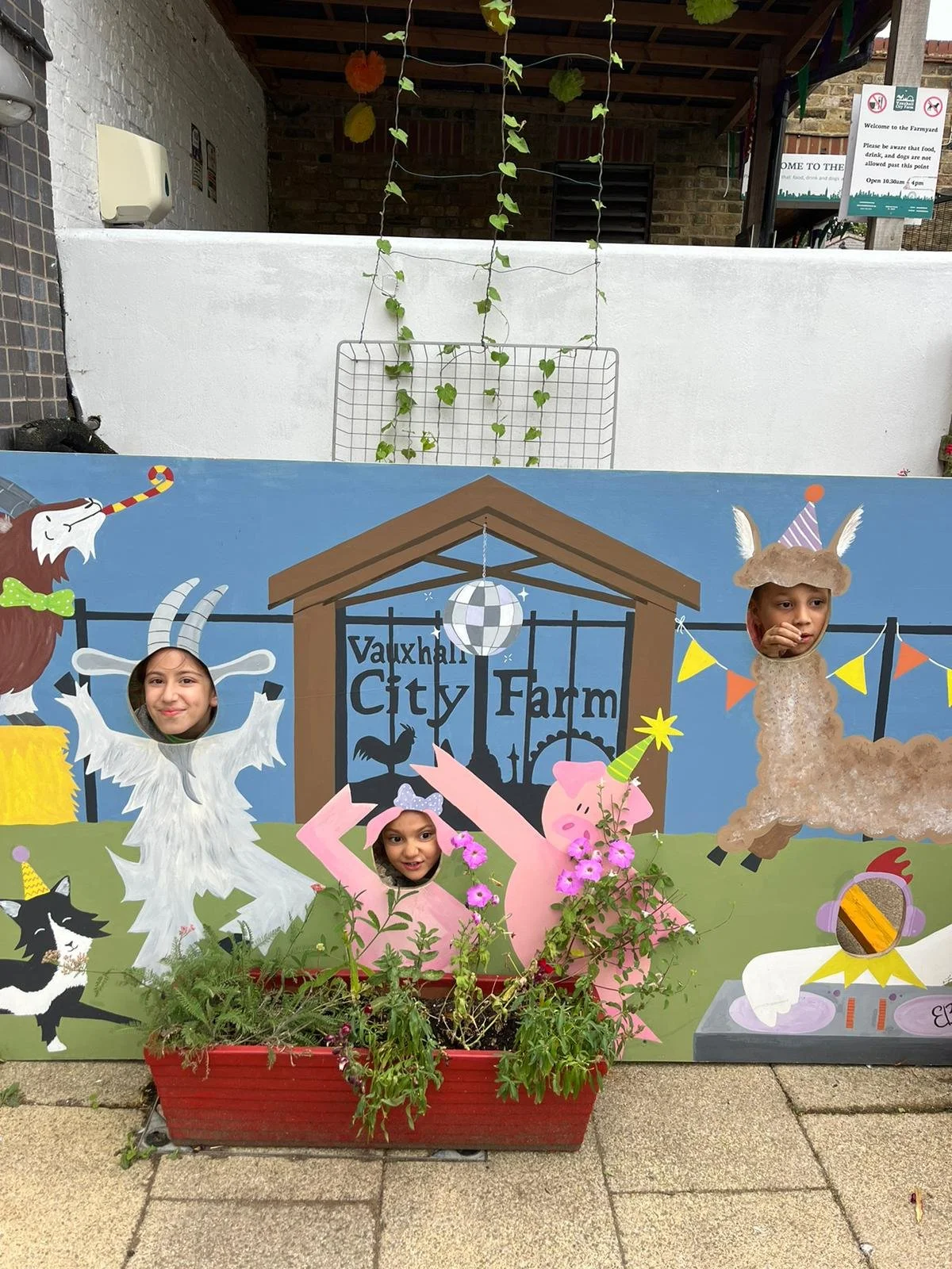 WhatsApp Image 2024-08-22 at 3.46.00 PM.jpeg