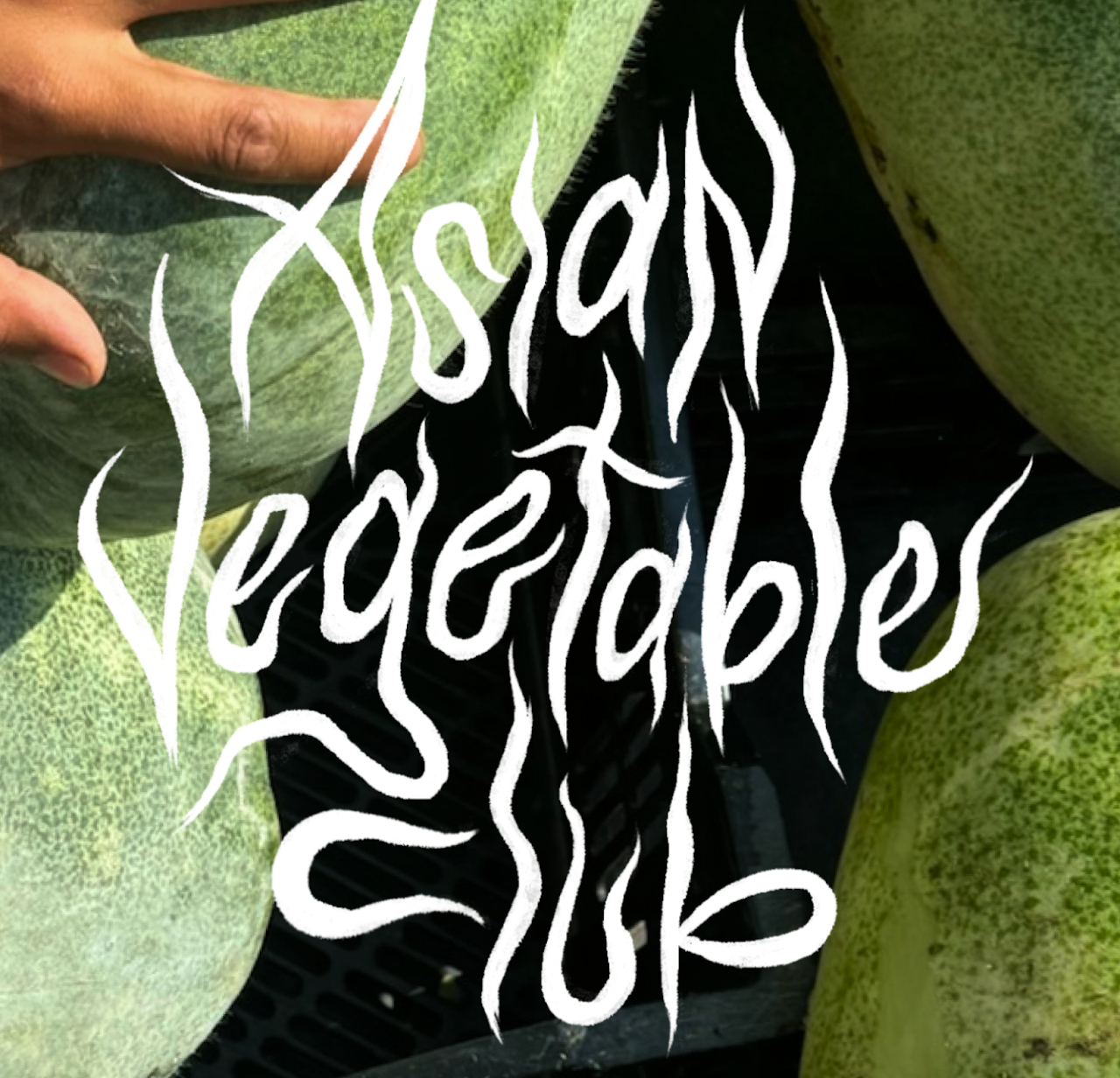 Asian Vegetable Club