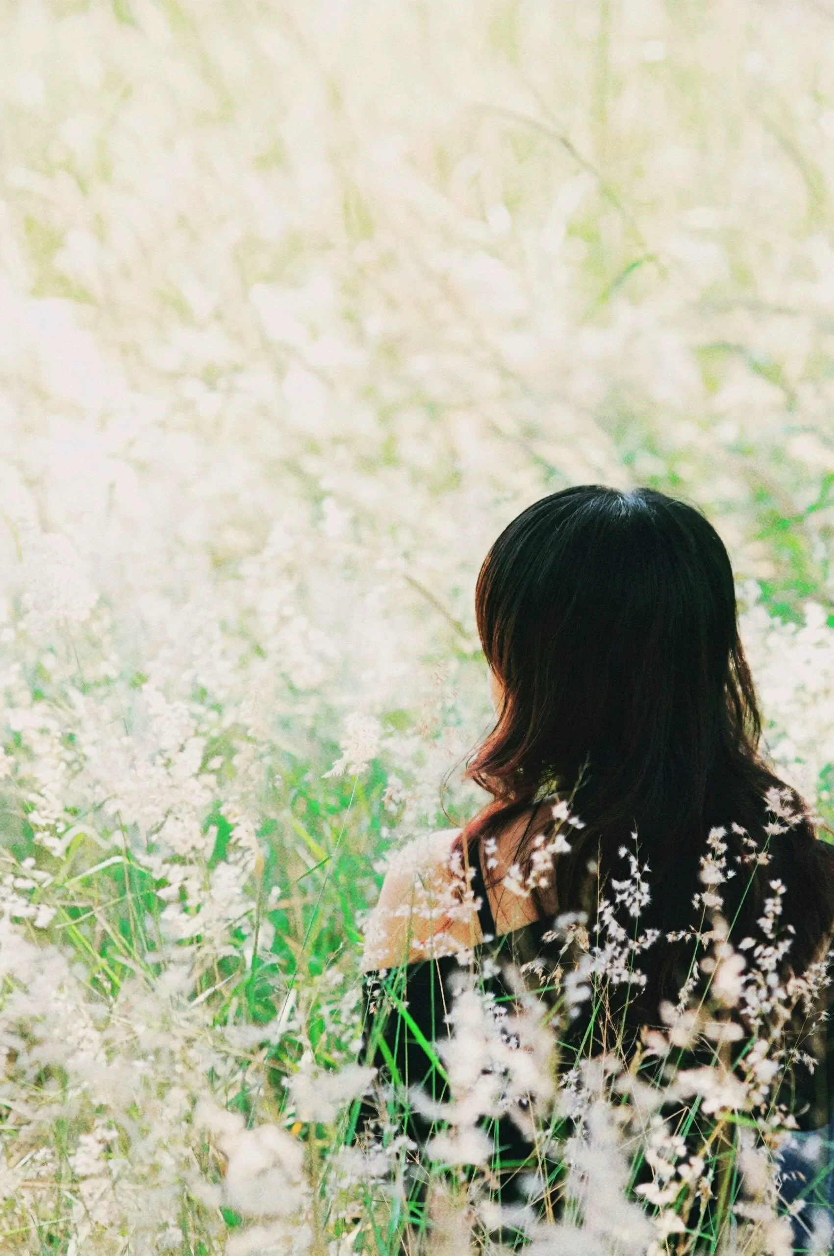 Woman sitting quietly in a soft meadow, symbolizing reflection, comfort, and emotional healing through Christian grief counseling in Texas.