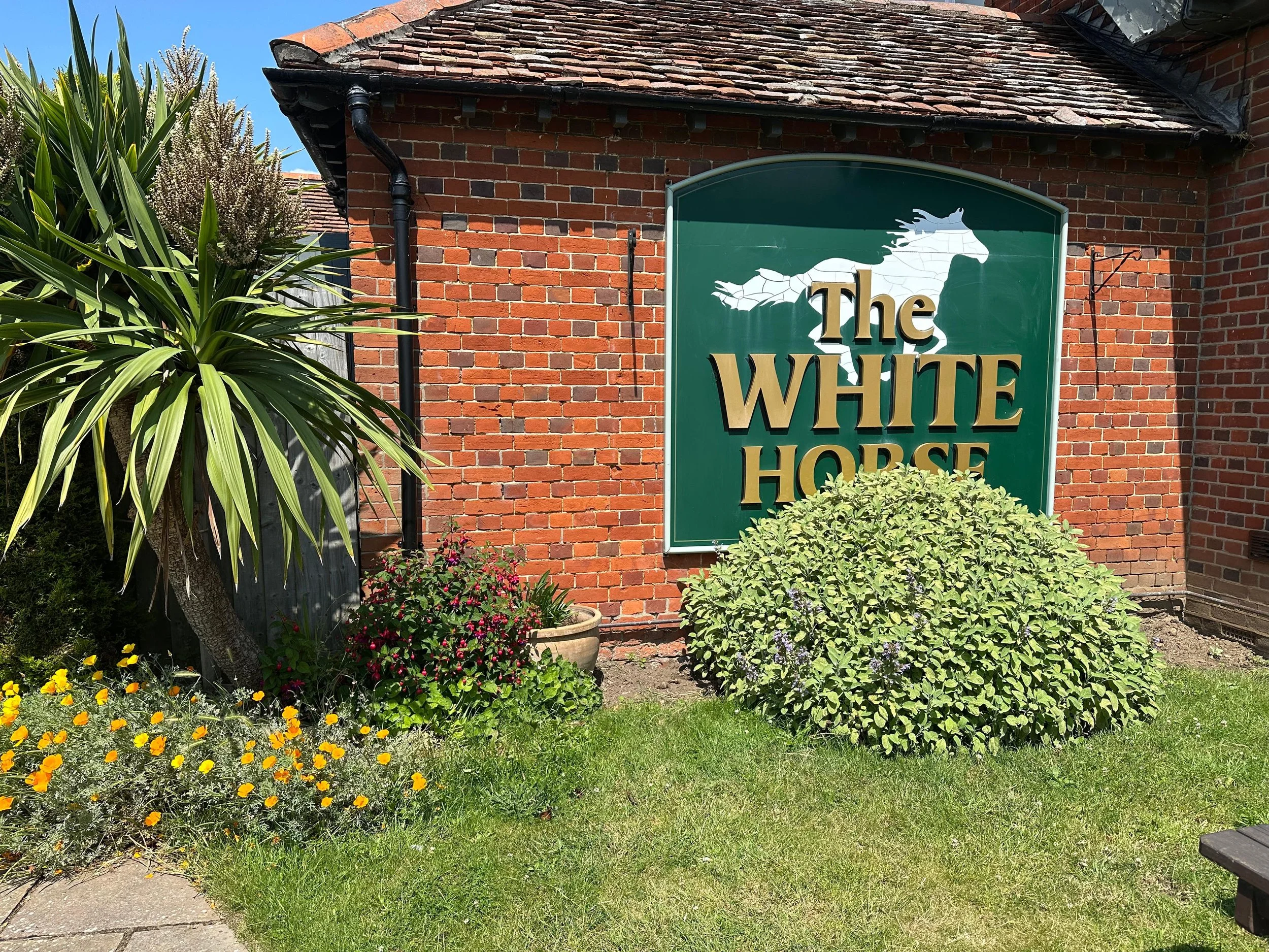 Sign for The White Horse pub next to a brick building with a garden and various plants including a large bush, yellow flowers, and a tall tropical plant.