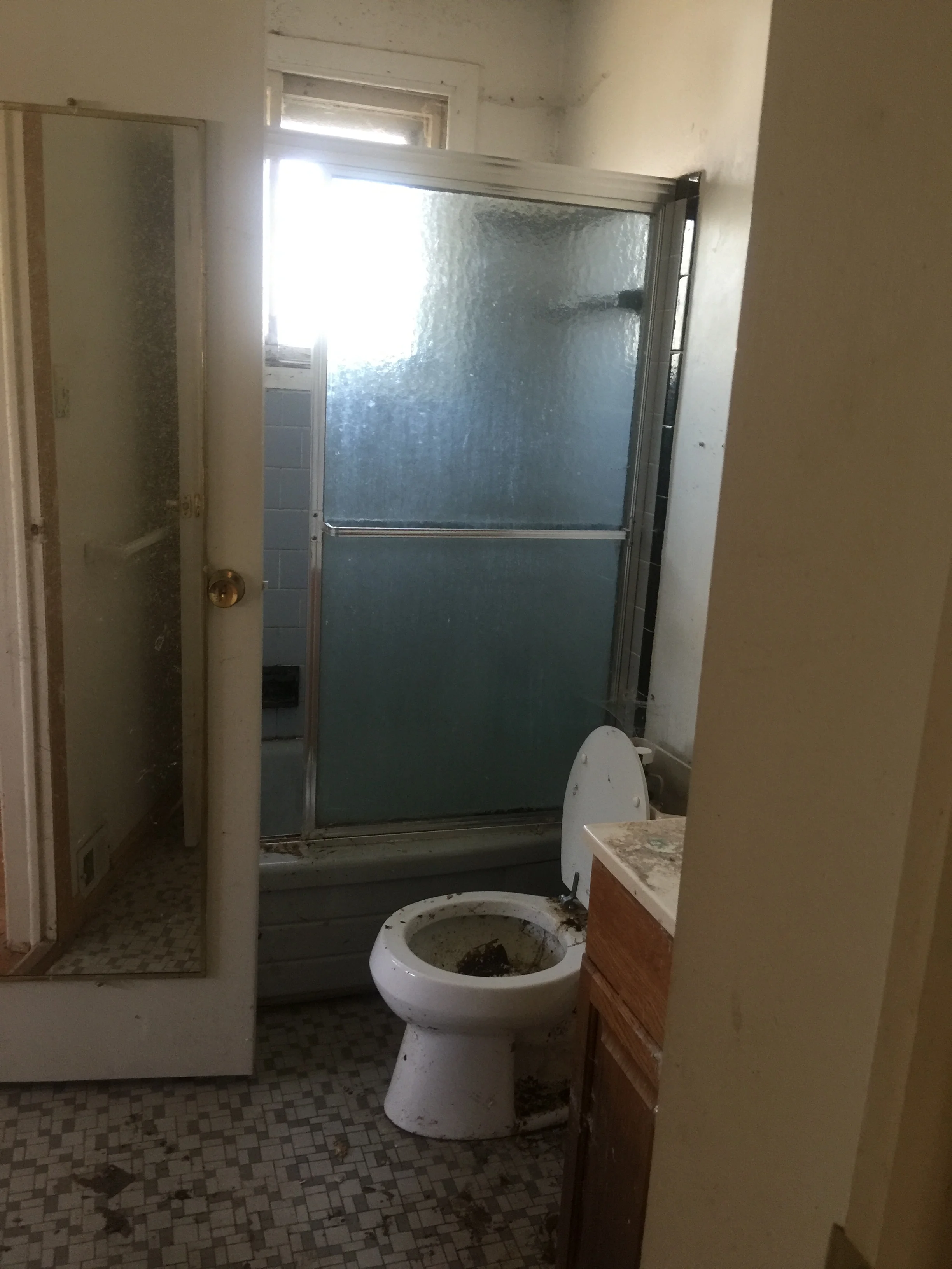 annandale bath before.JPG