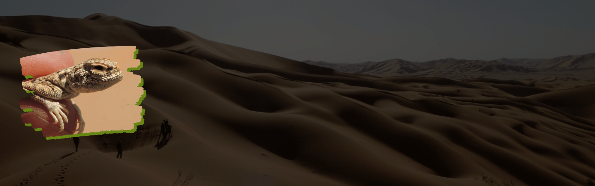 Sunset over mountains with colorful orange, pink, and purple sky.