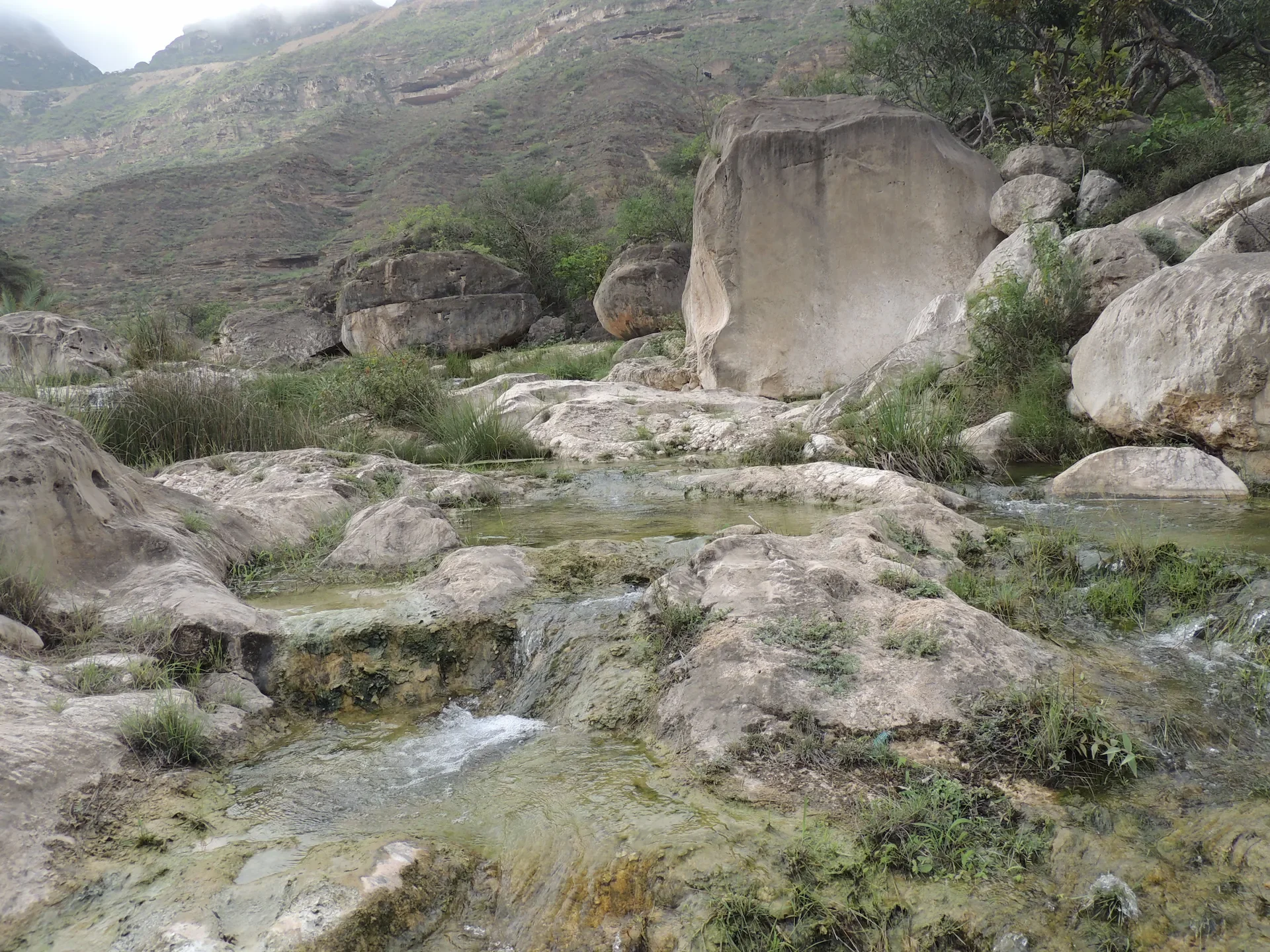 wadi-sayq-pools.webp