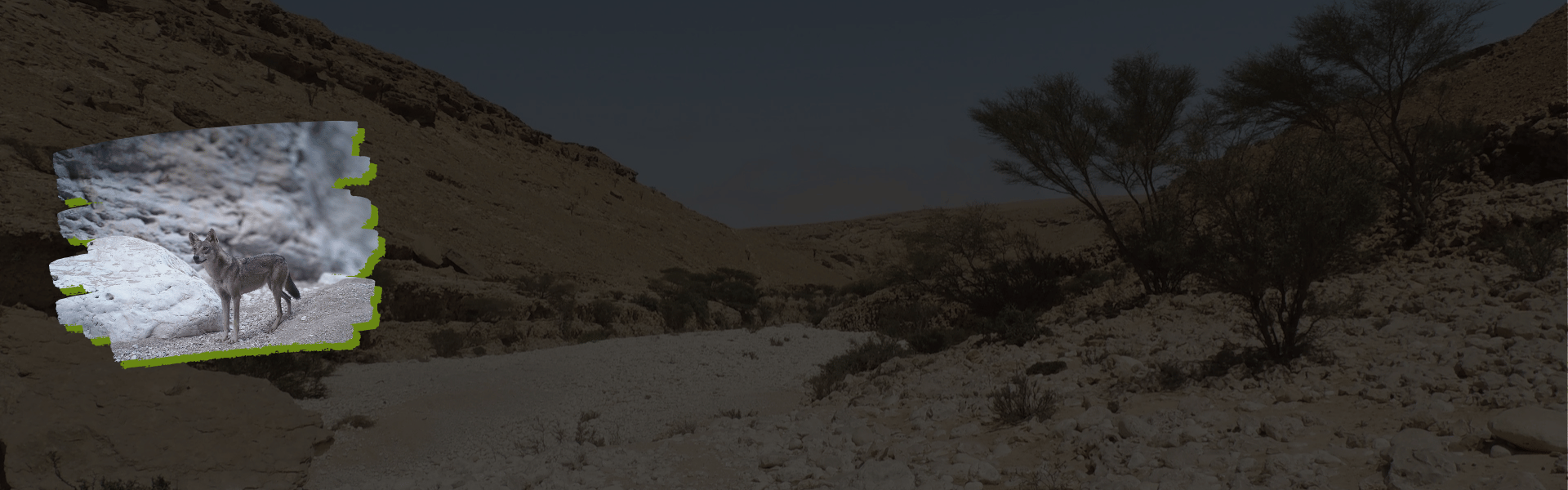 A mountainous landscape with large rock formations and sparse green vegetation, with a clear blue sky.