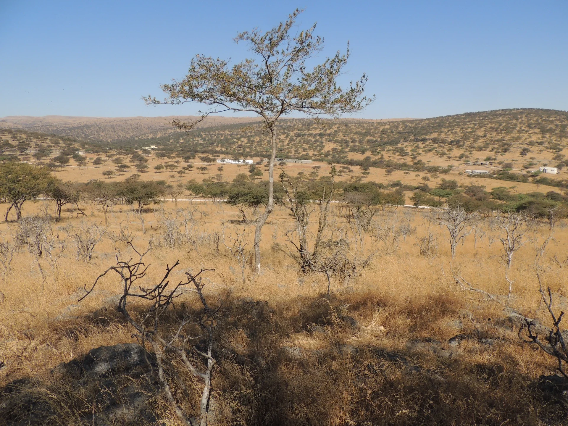 mountain-plateau-savanna.webp