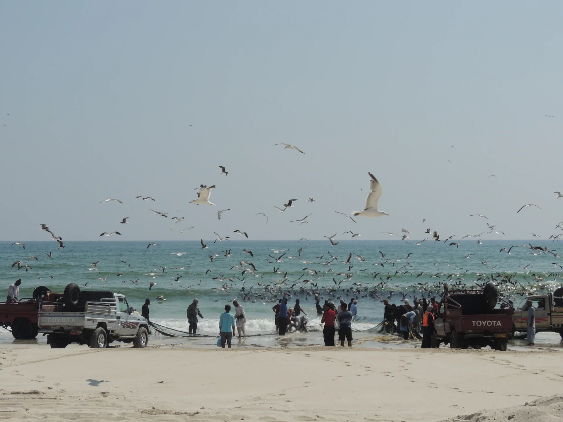 salalah-beach-fishing-01.webp