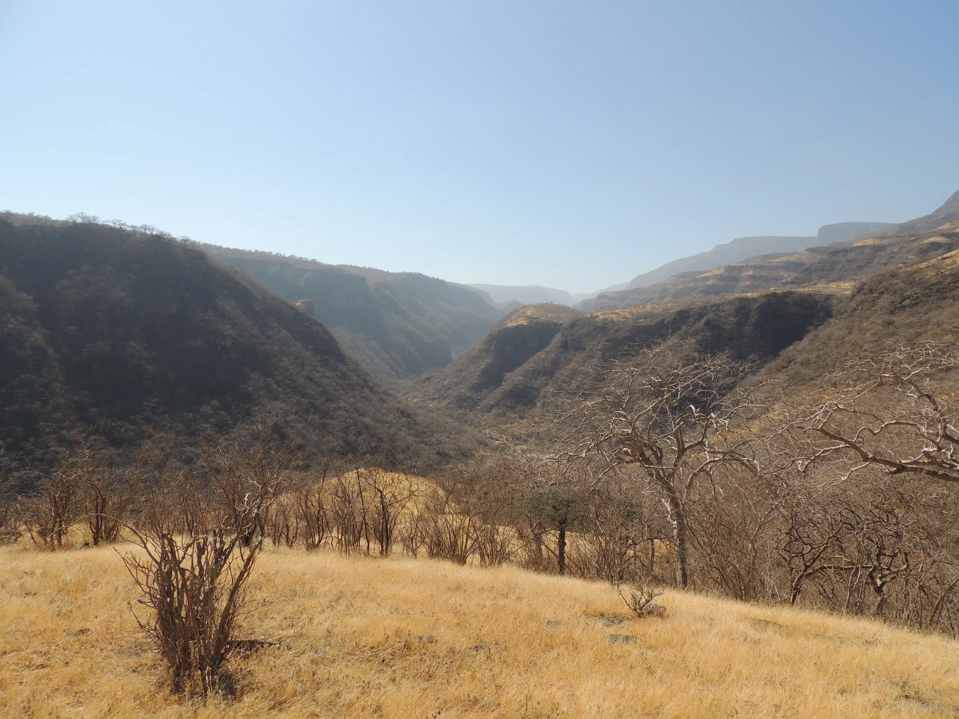 wadi-sayq-01.webp