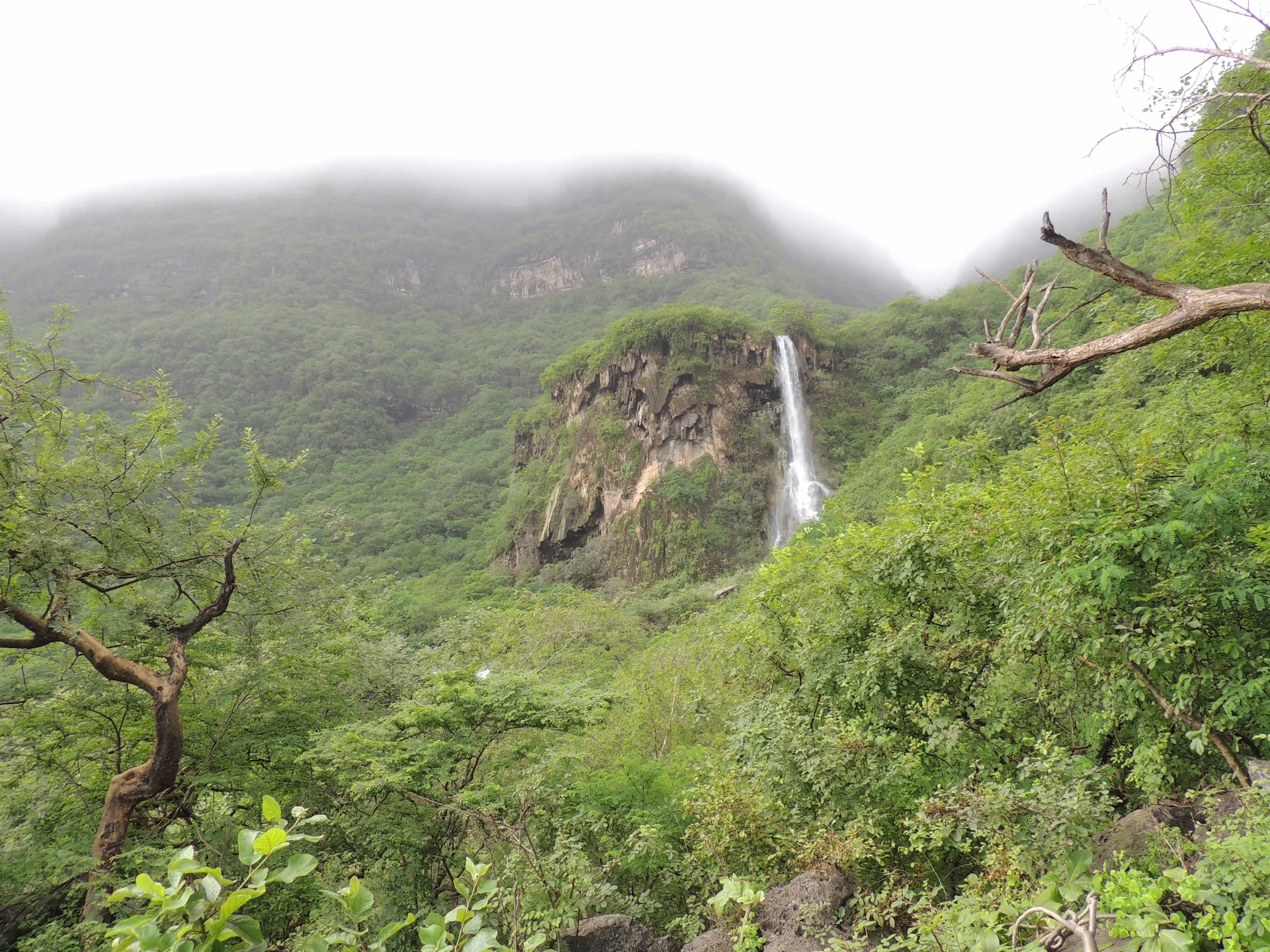 mountains-green-waterfall-khareef.webp