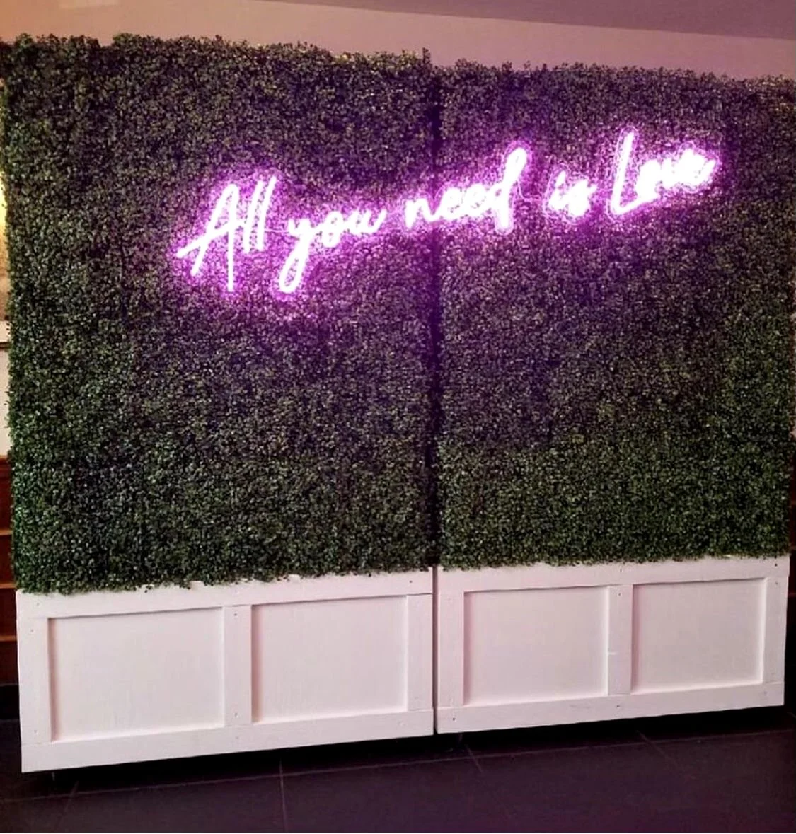 Box Wood Hedge Walls White Base