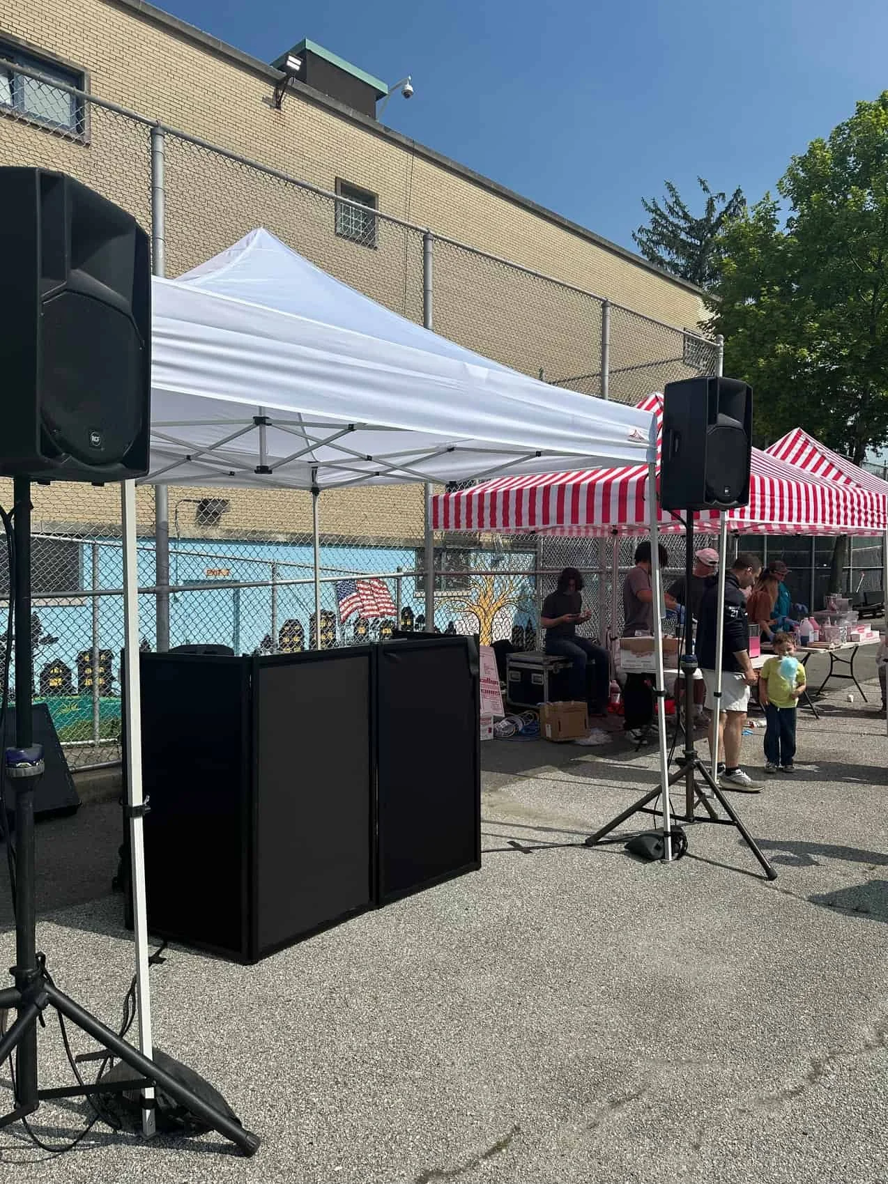 Professional DJ Service 